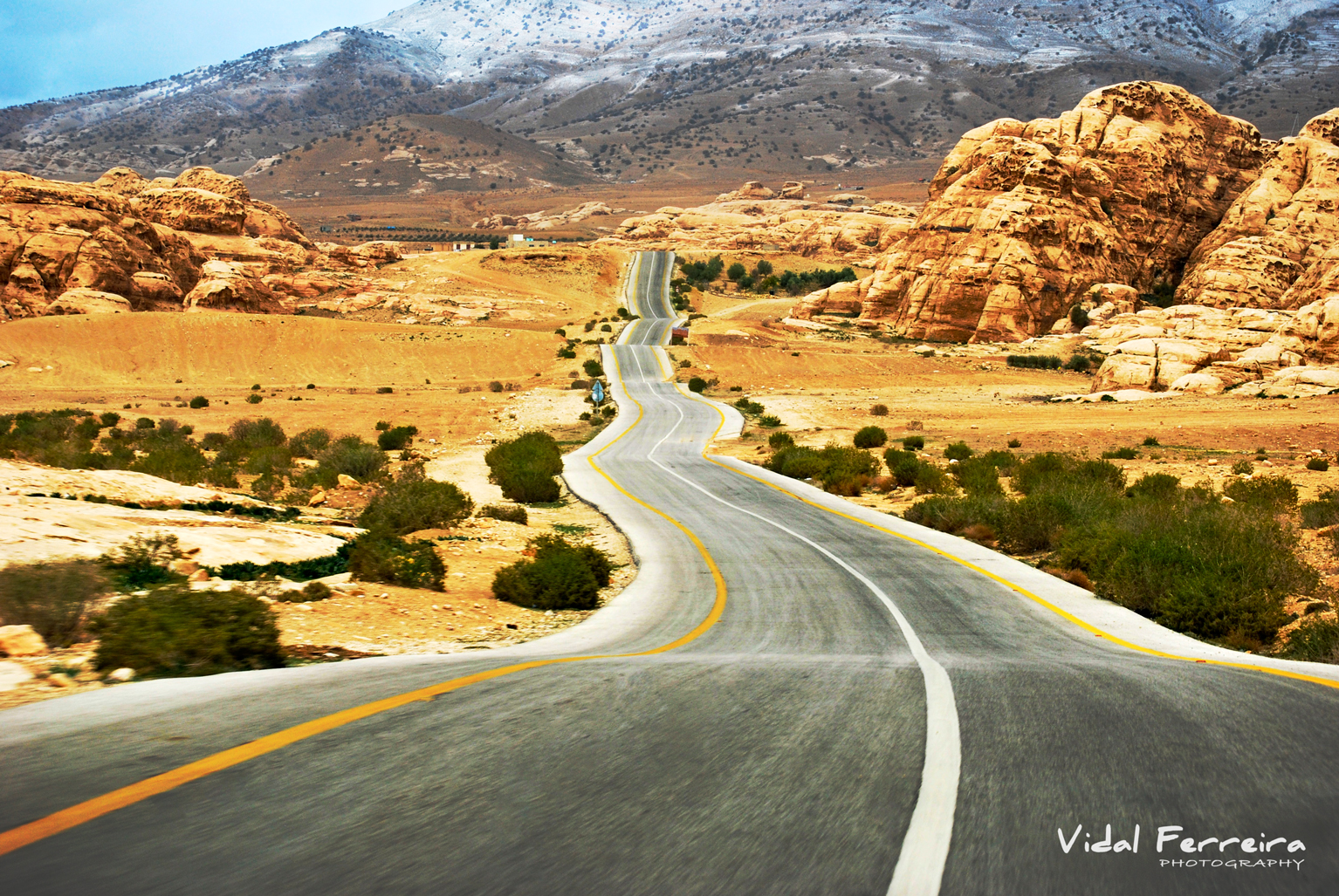 Long Way Home - Amman, Jordan