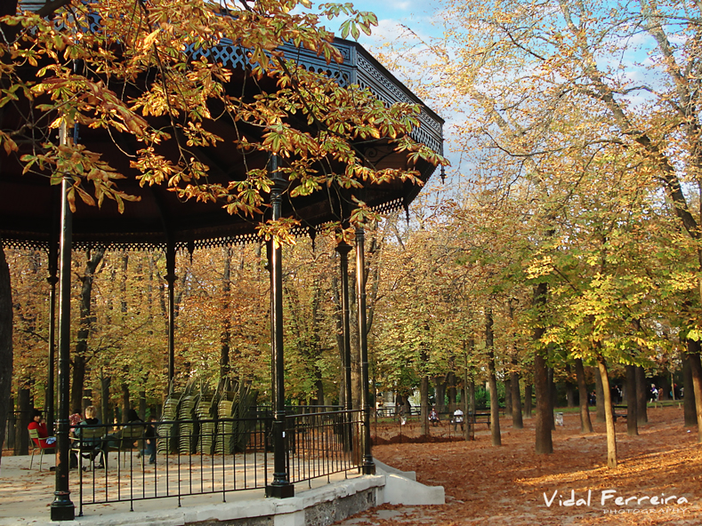 Autumn - Paris, France