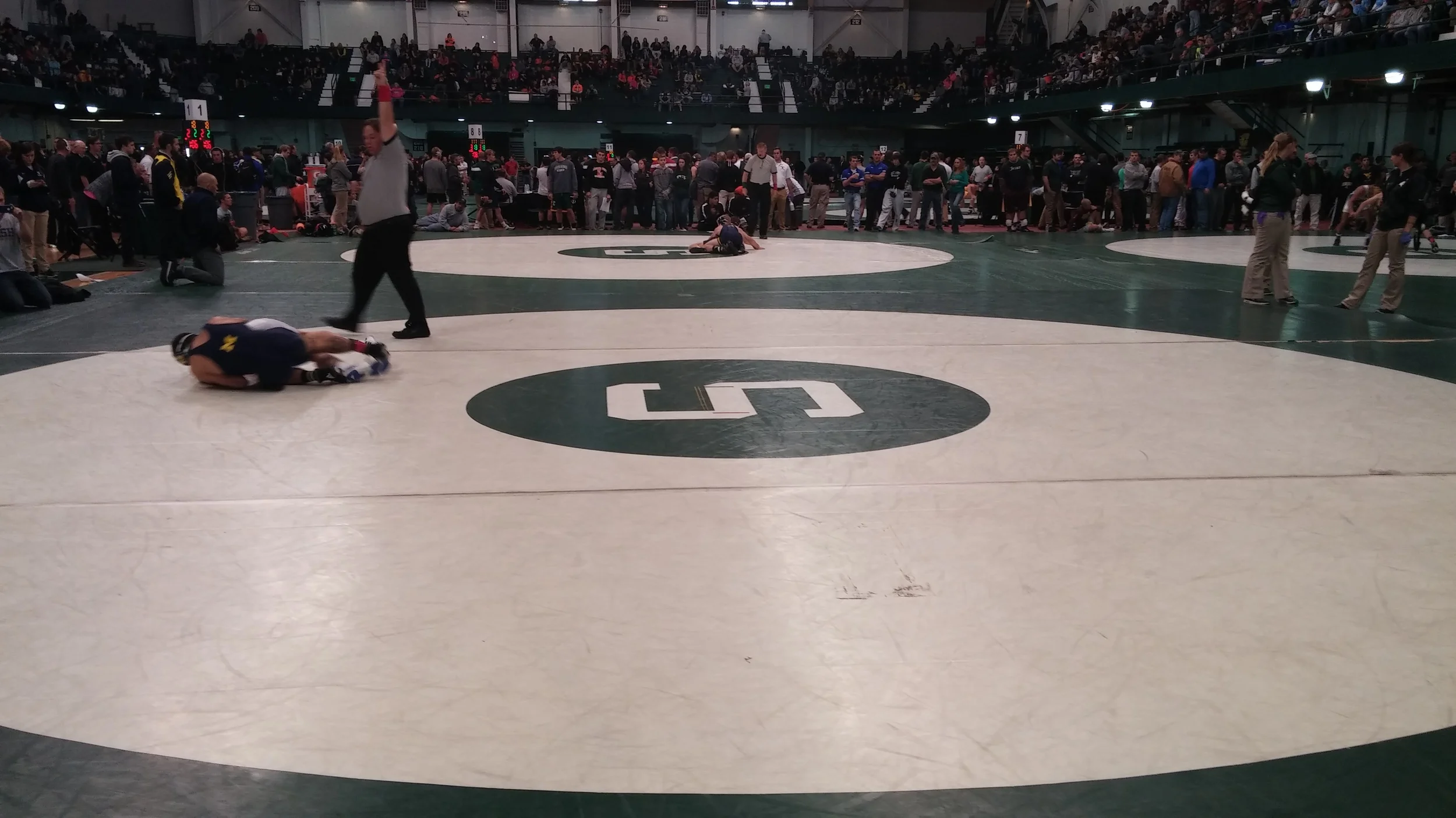 Fact Check of Episode 8