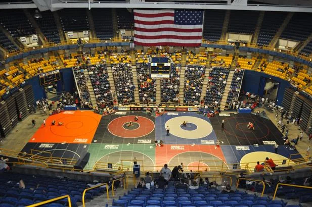 Scuffle Seeds & Picks