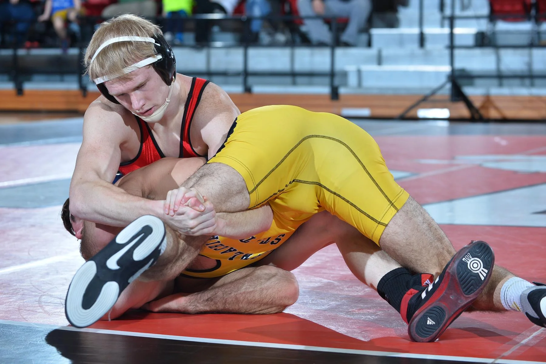 What You May Have Missed This Weekend