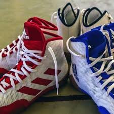 Tech Fall 2.0s, the 2017 Warriors of Shoes