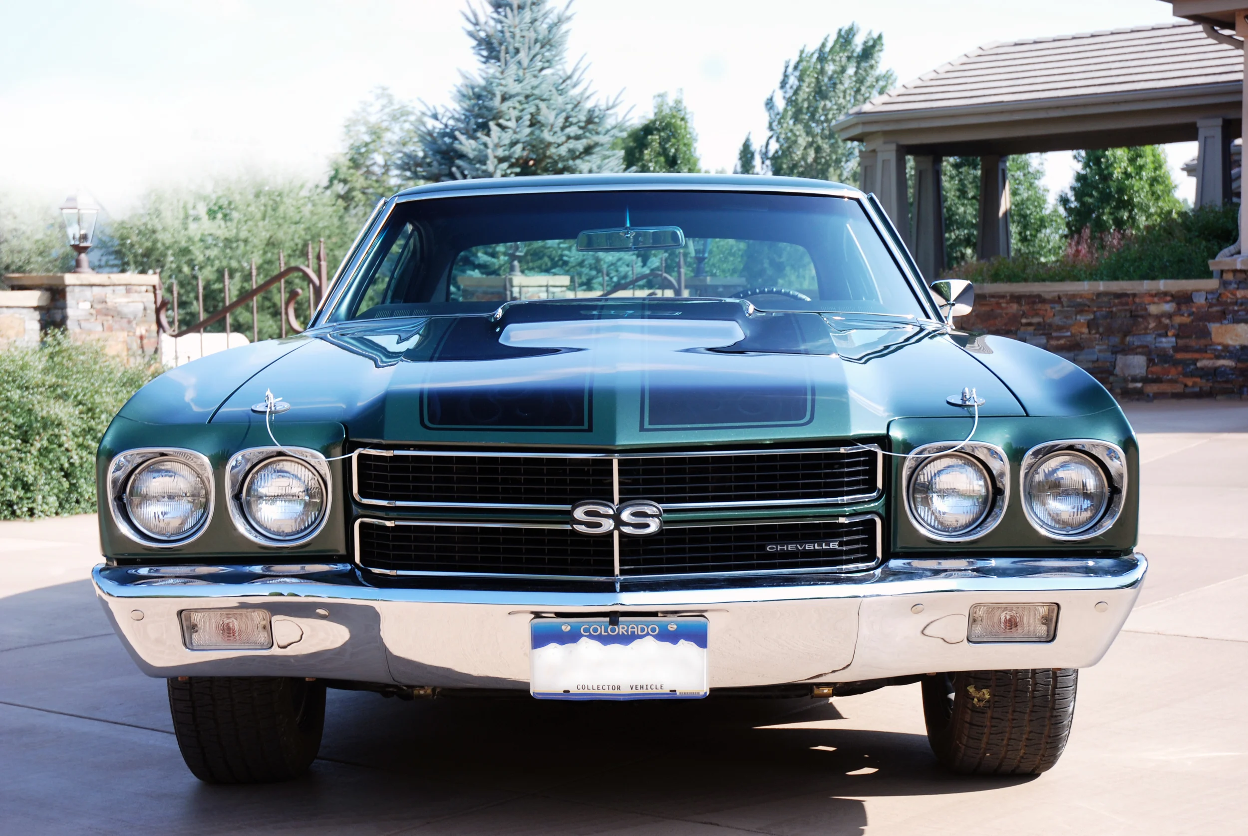 editedDSC_0113.jpg