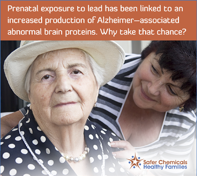 Prenatal Exposure to lead has been linked.png