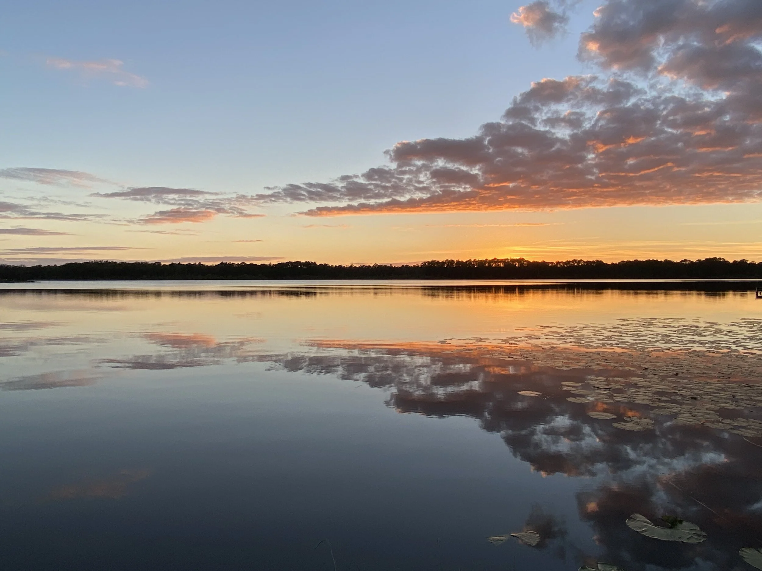 Soul induced IMG_8547.jpg