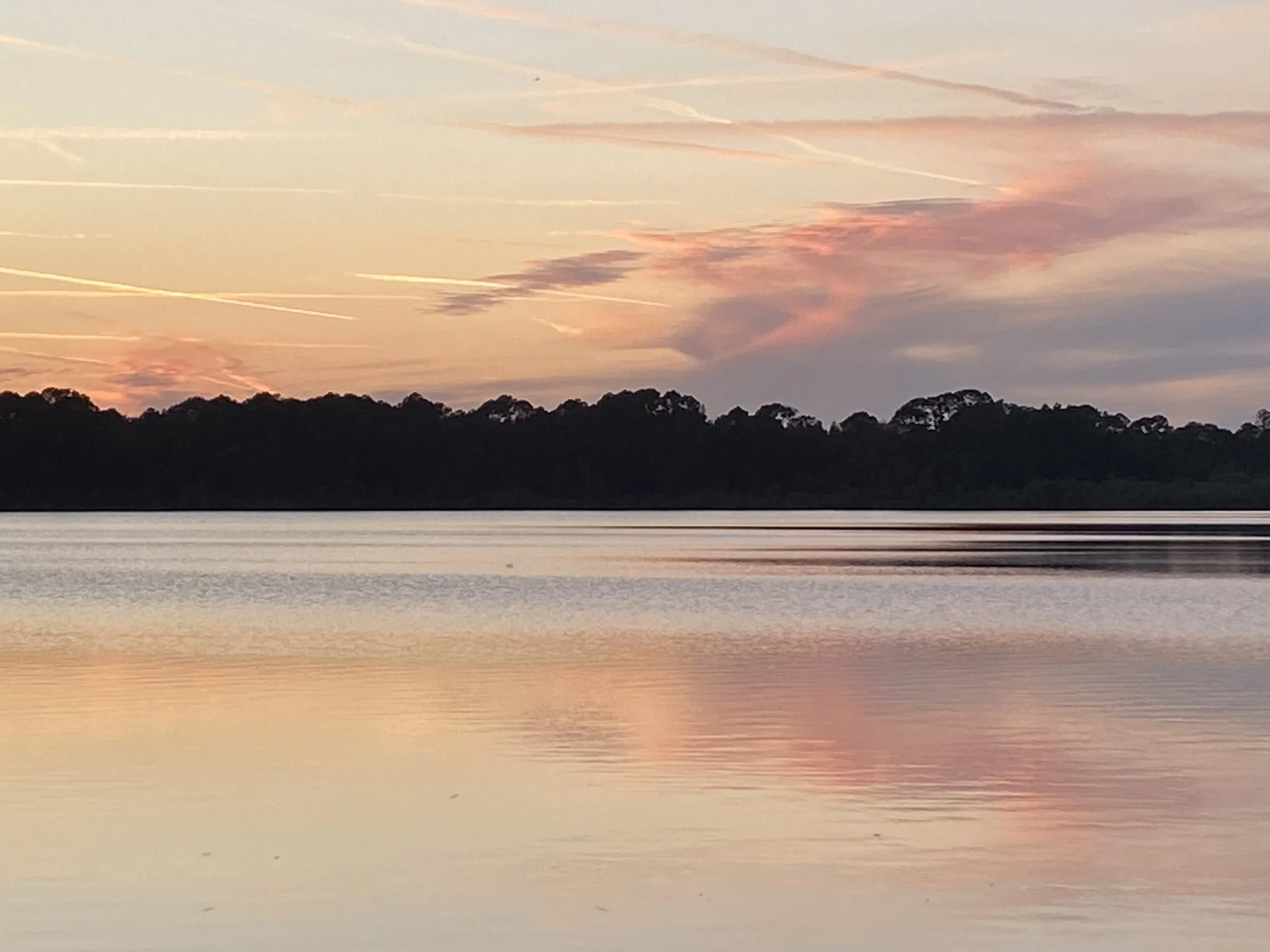 Soul Induced IMG_7975.jpg