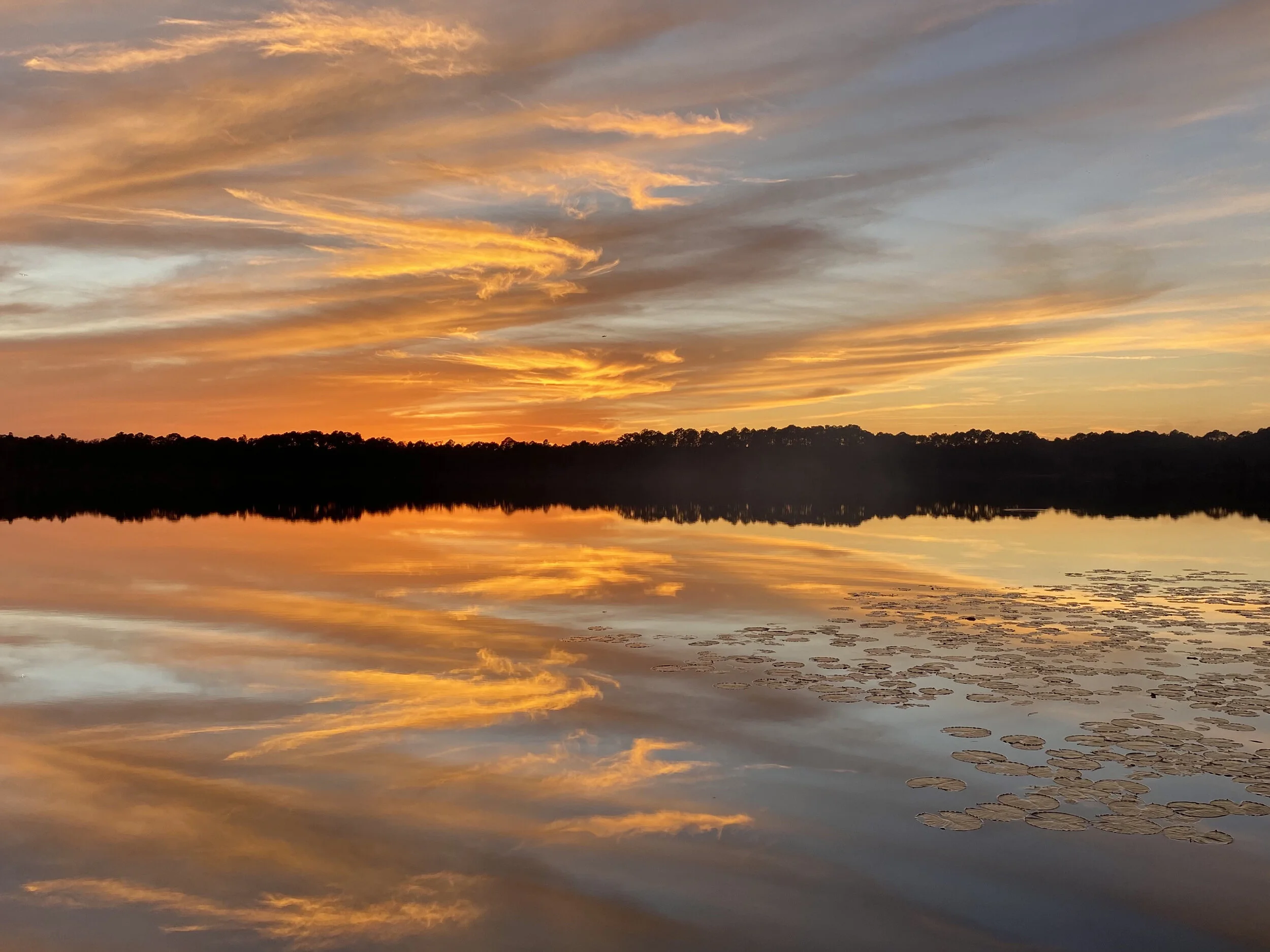 Soul Induced web IMG_3965.jpg