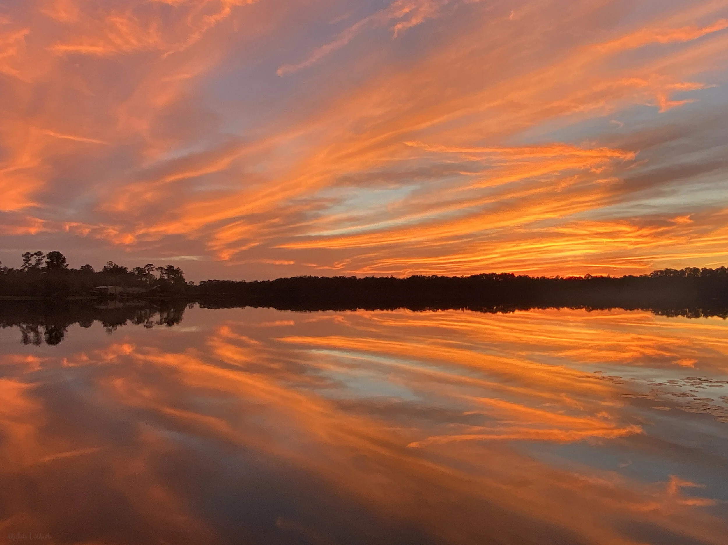 soul induced web IMG_3988.jpg