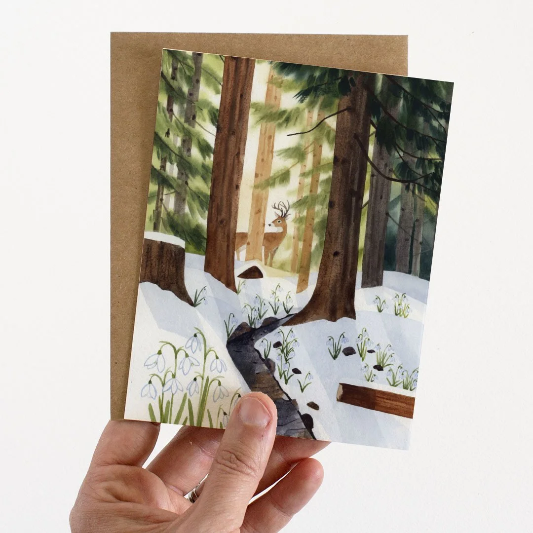 GCFG01_Snowbell Forest_Web2.jpg