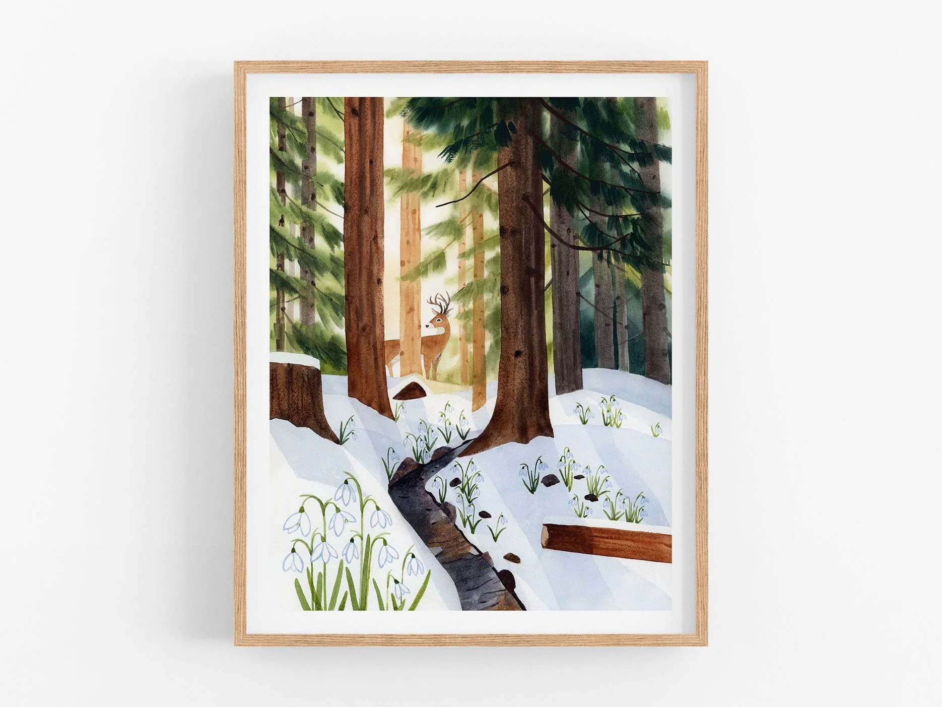 FGP01 Snowbell Forest_Web1.jpg