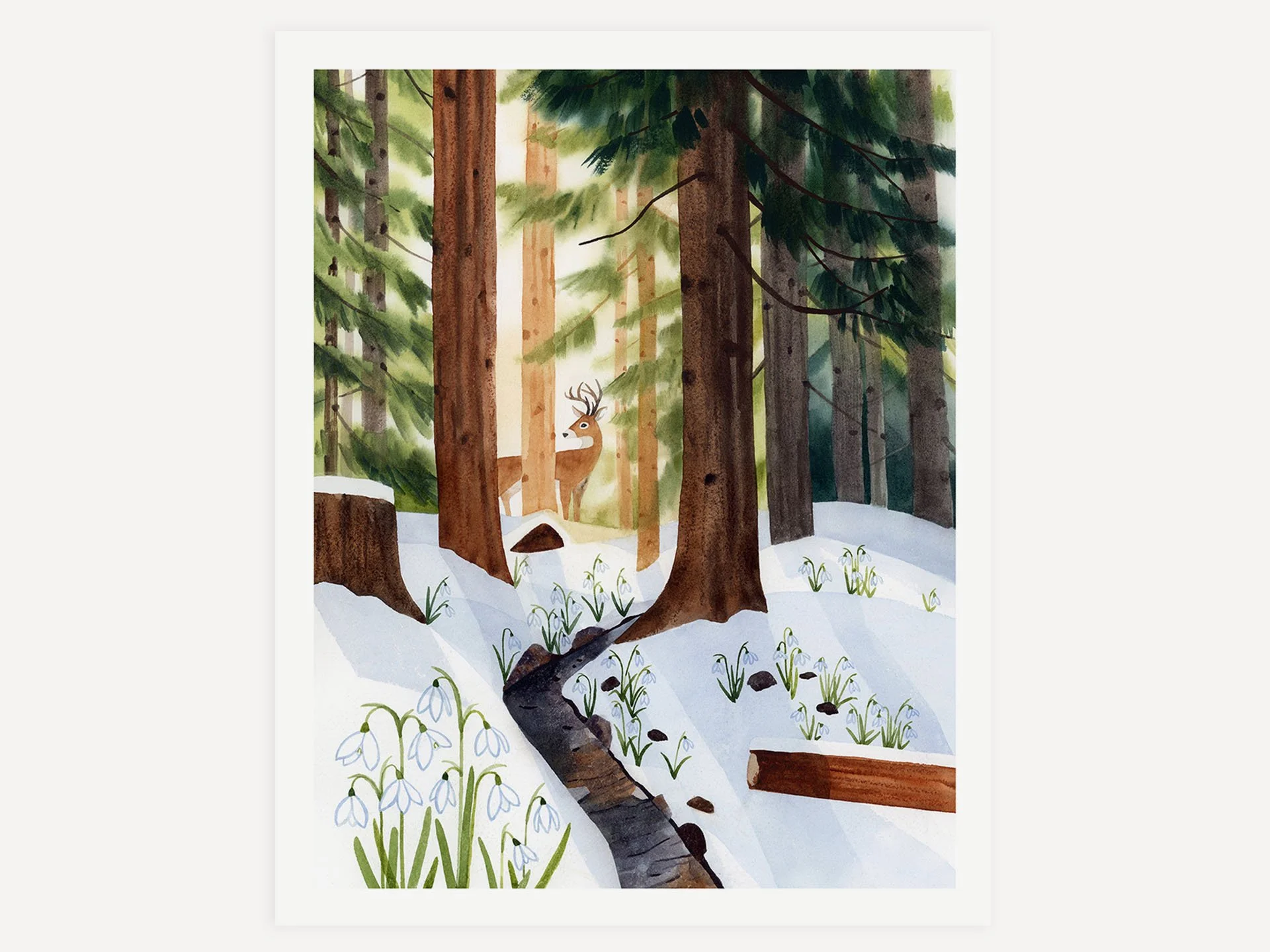 FGP01 Snowbell Forest_Web3.jpg