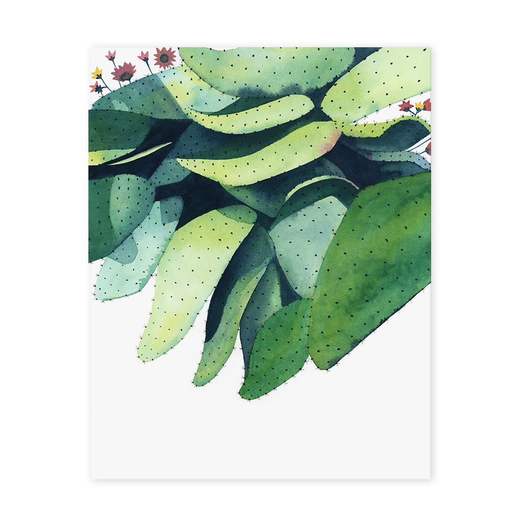 P13 Cactus_Web.jpg