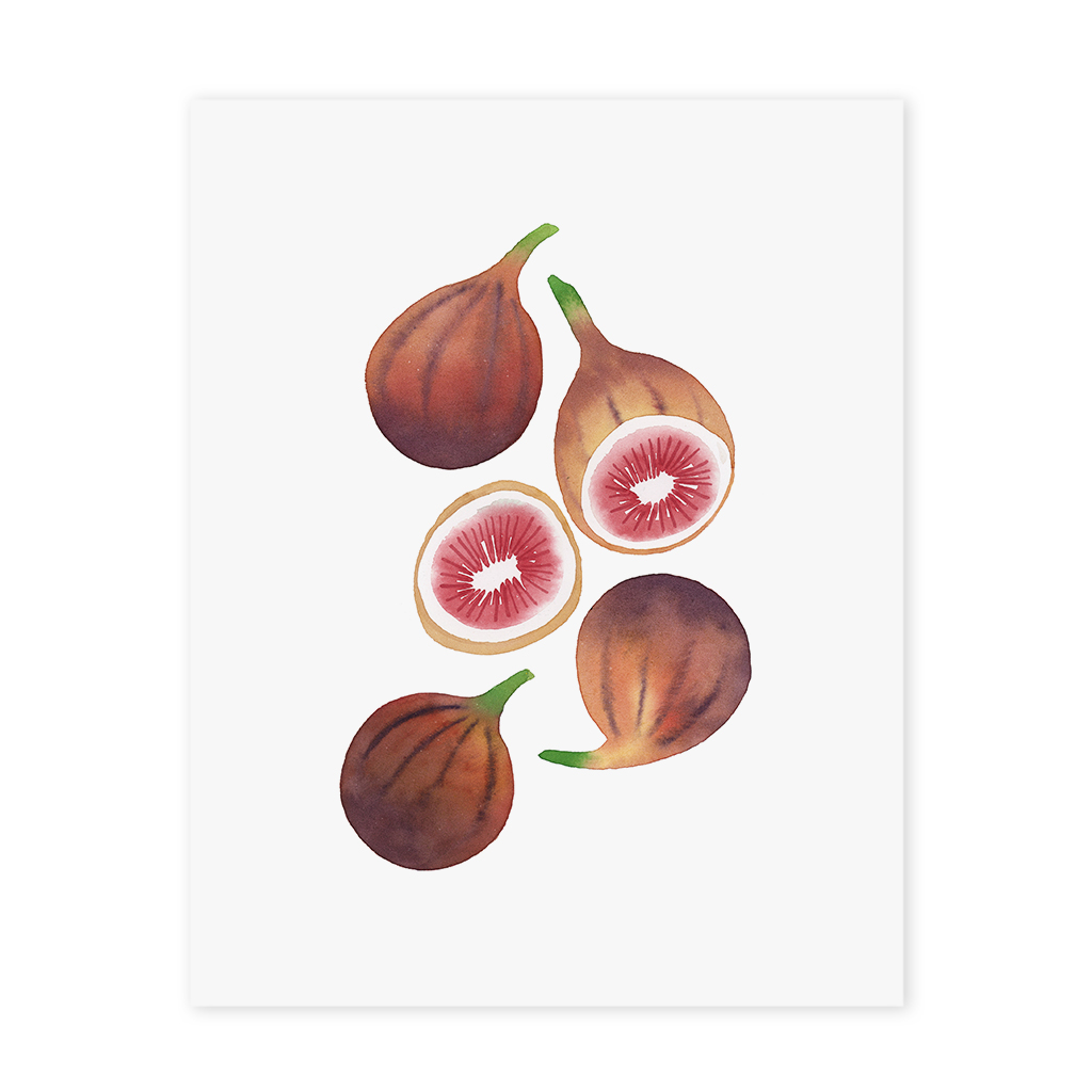 P113 Figs_Web.jpg