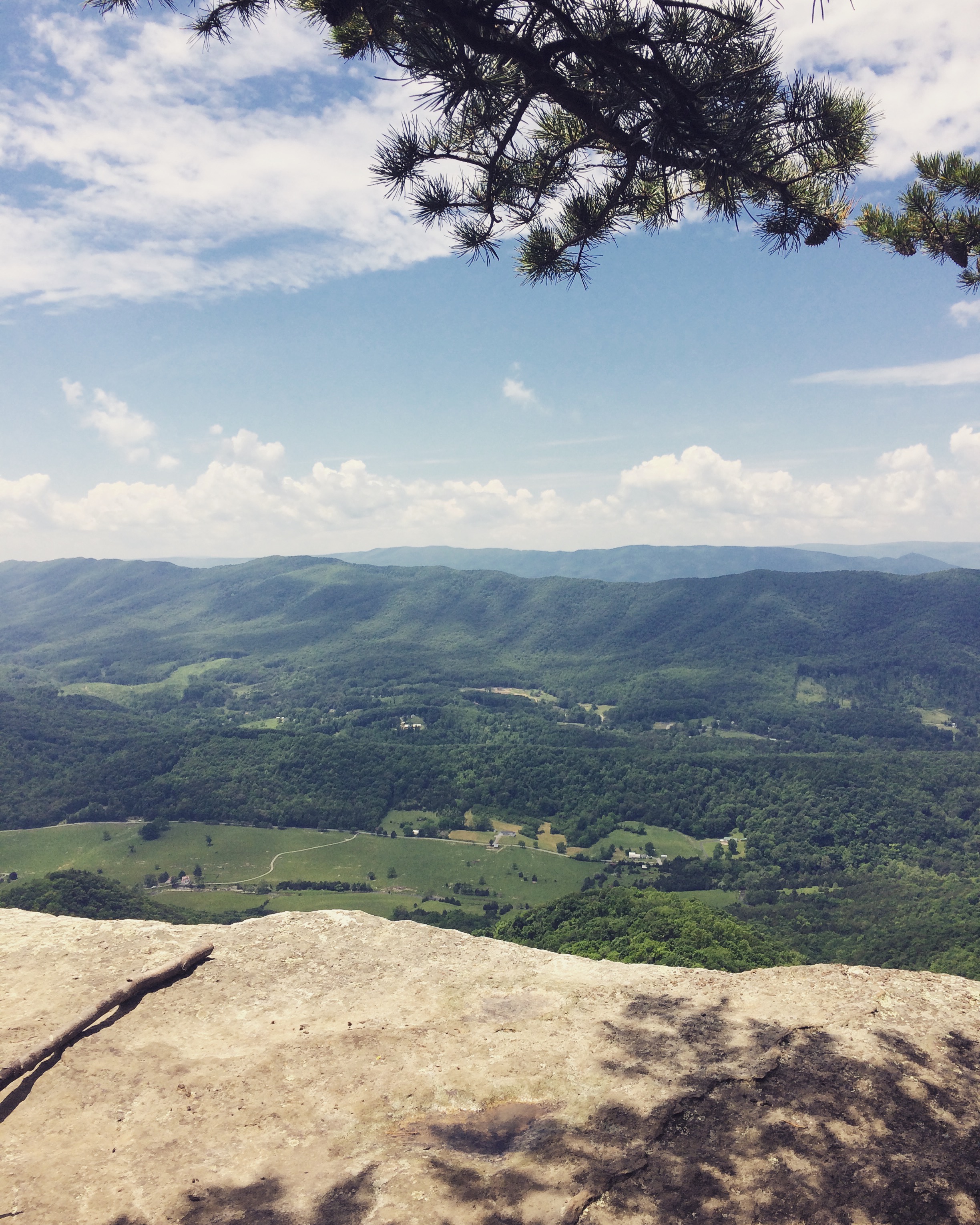This is my metaphor for looking at the "big picture." It's also a really pretty place in Virginia called McAfee's Knob. 