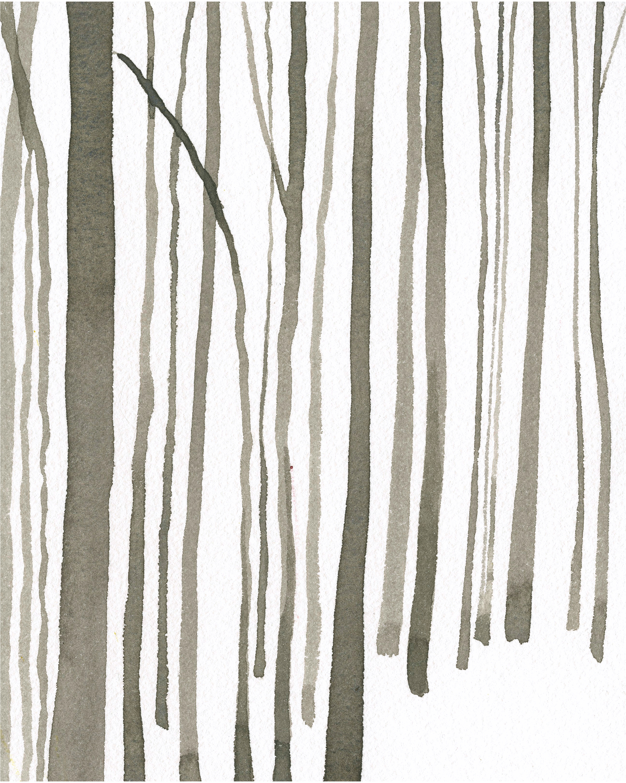Winter Forest
