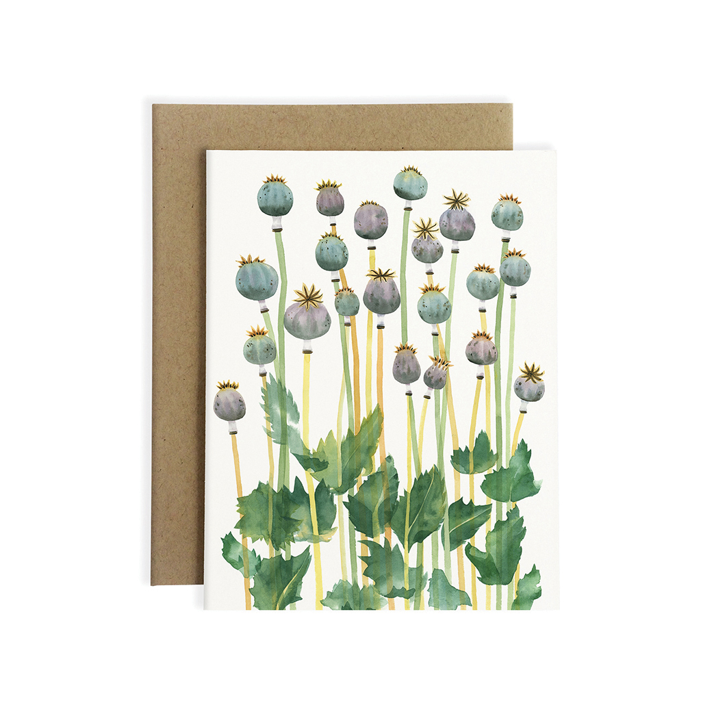 GC113 Poppy Pods_Web.jpg