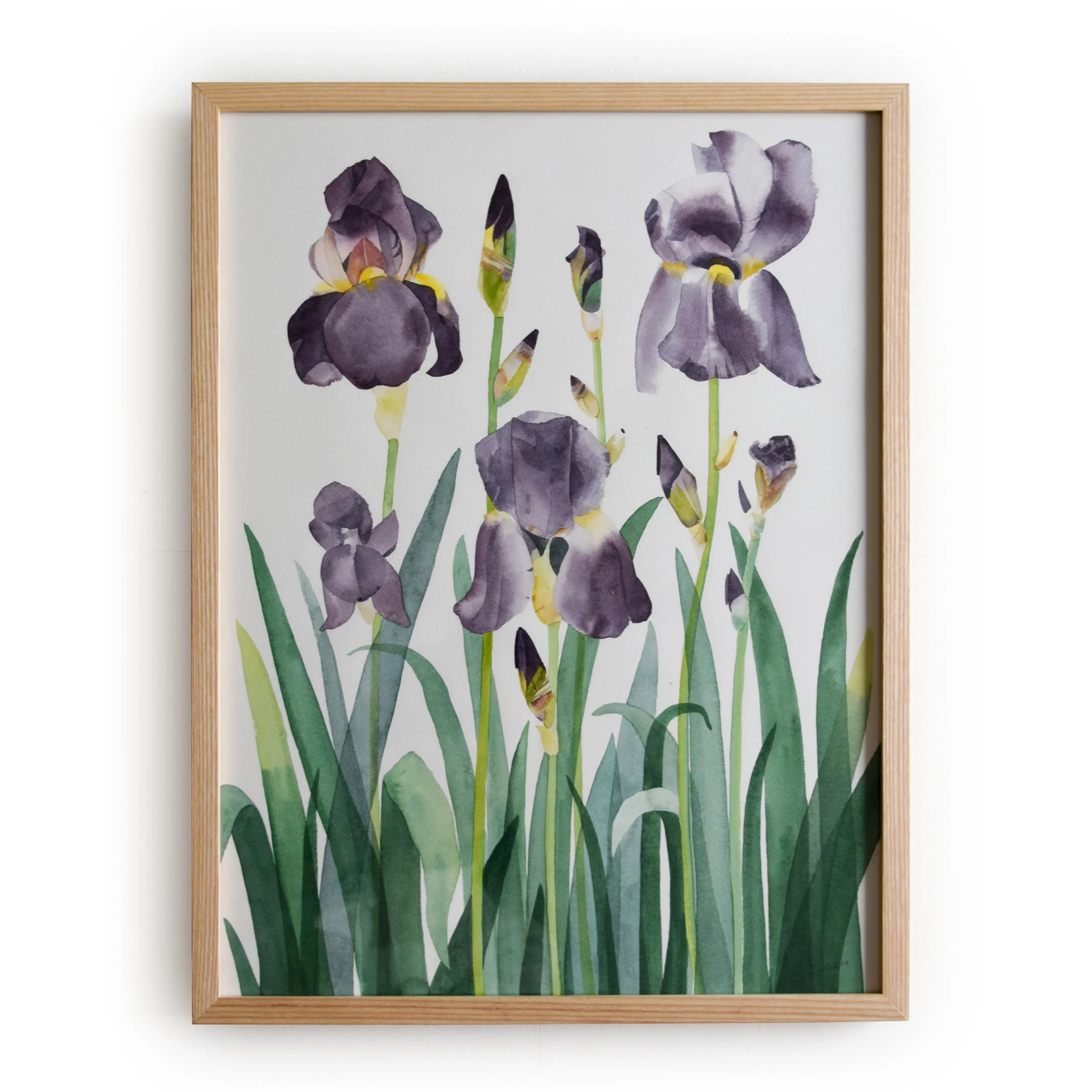 Irises.jpg