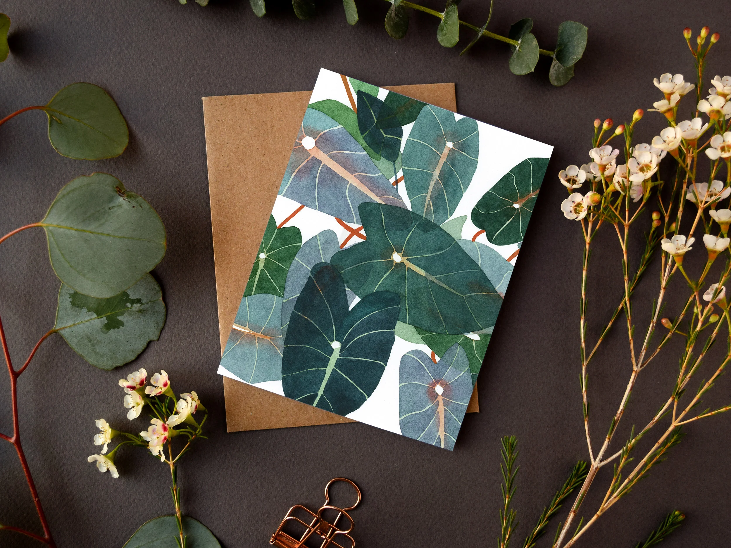 Caladiums_Card1.jpg
