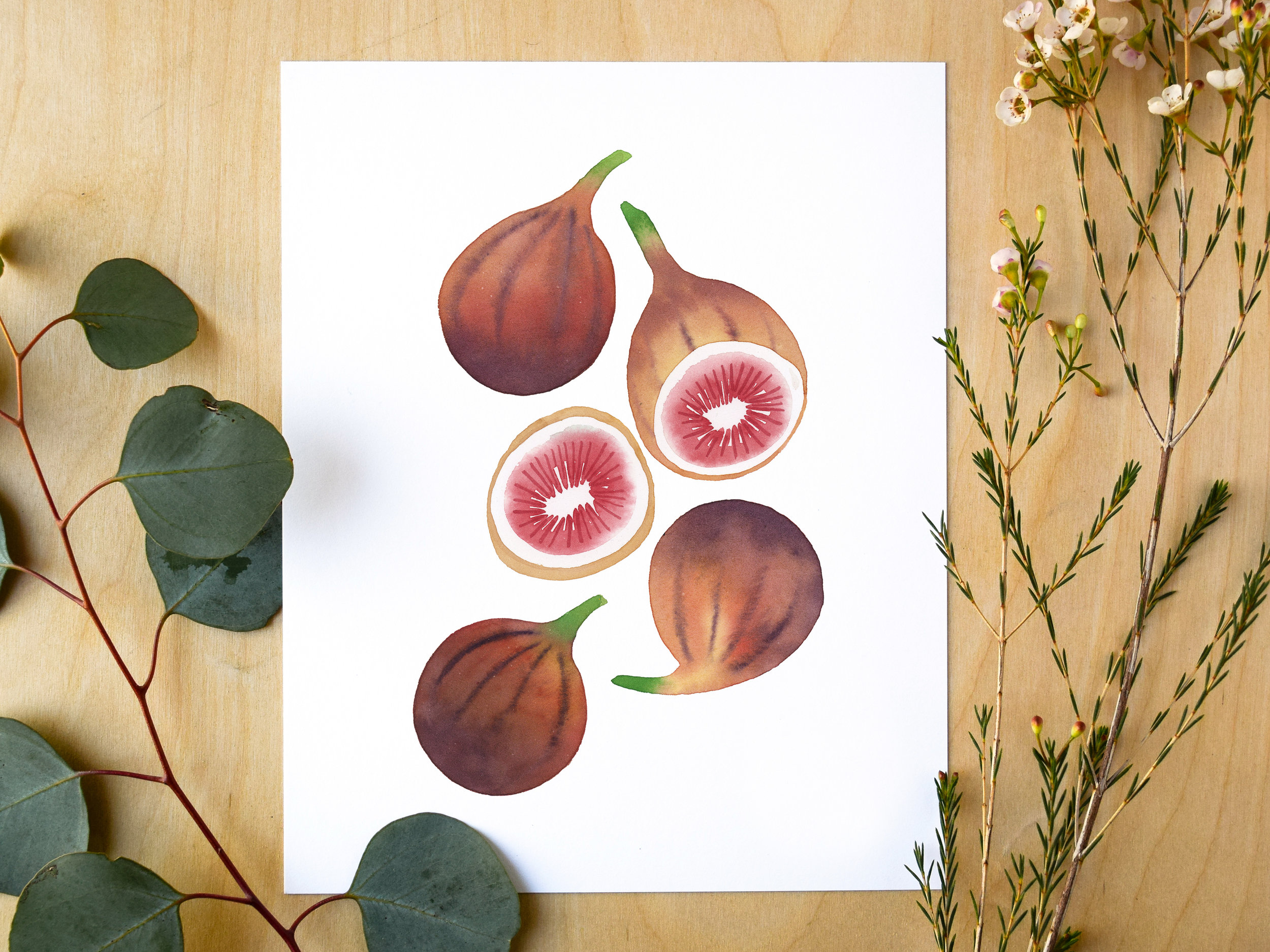 Figs_Print2.jpg
