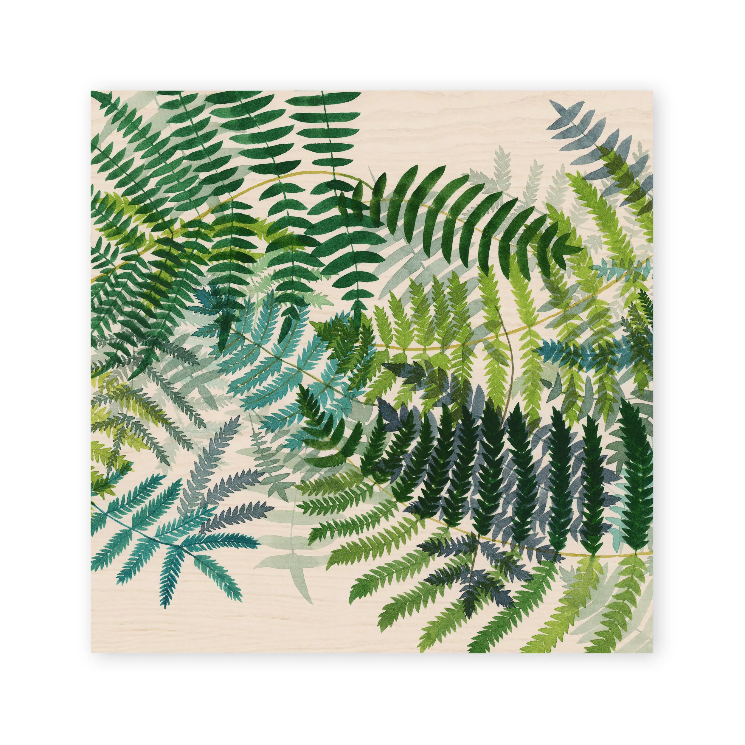 P15 Ferns_Web-Wood.jpg