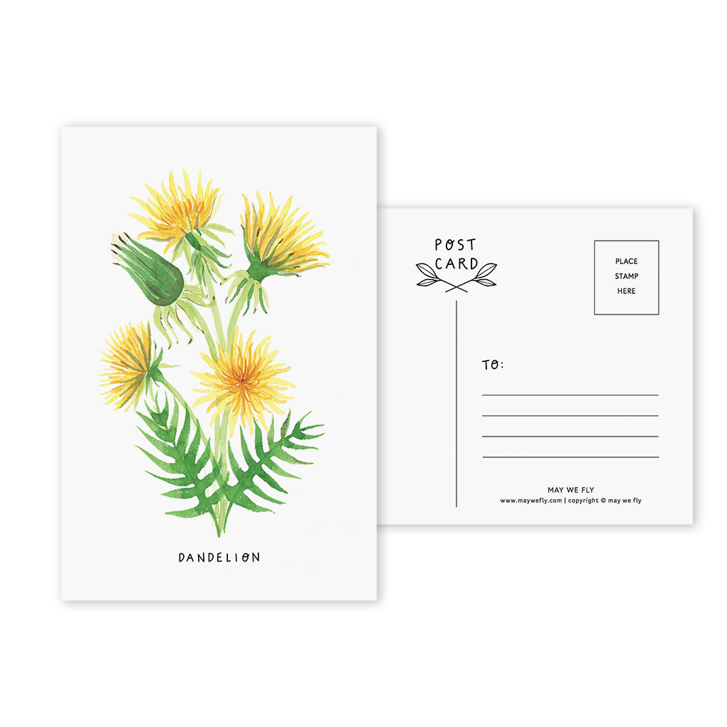 Dandelion Postcard_Web.jpg