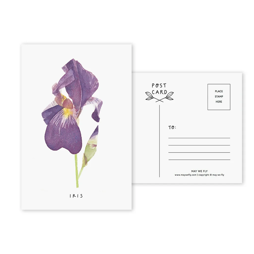 Iris Postcard