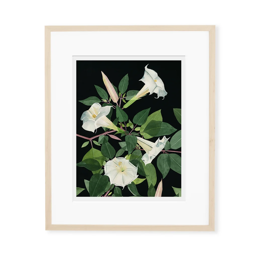 P127 Moonflowers_Framed.jpg