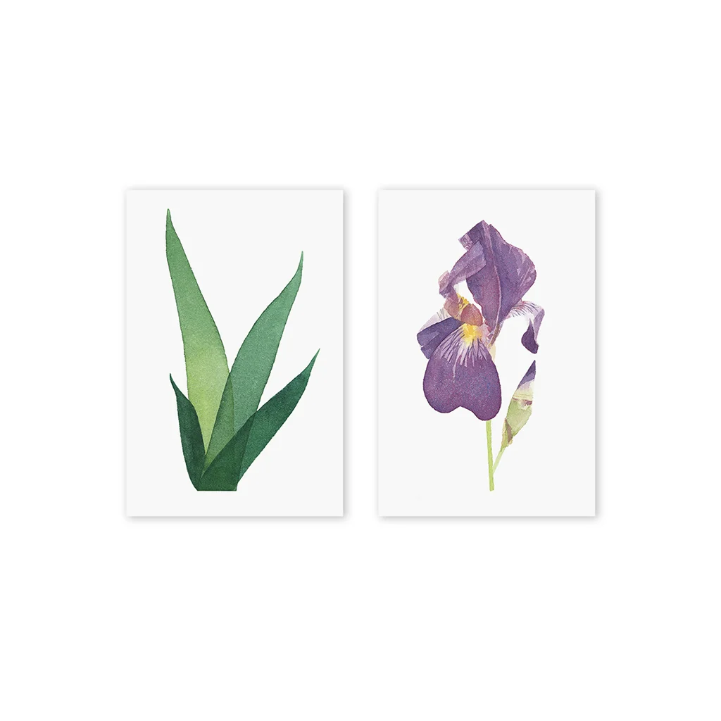 Mini Prints_Iris1.jpg