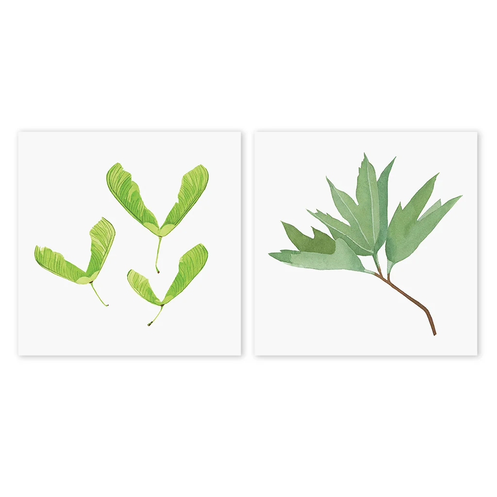 Mini Prints_Seeds and Leaves.jpg