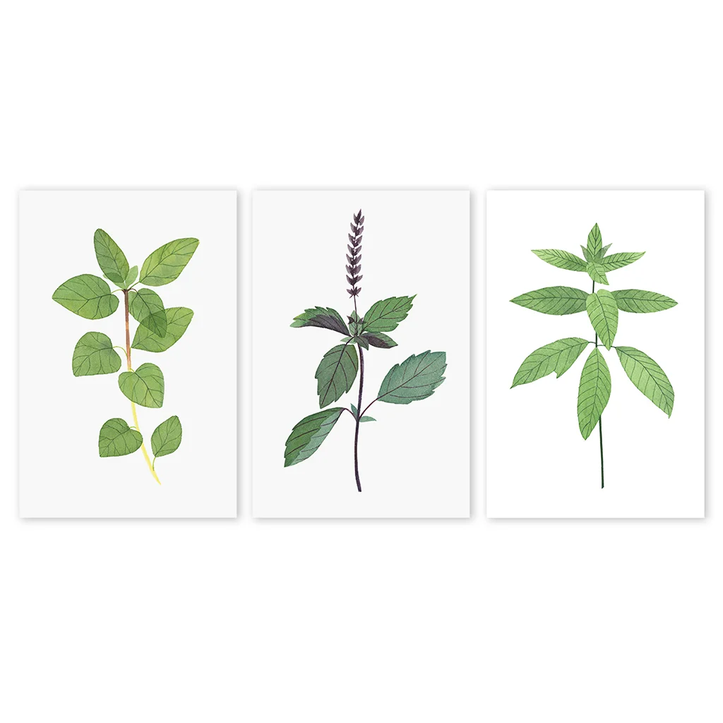 Mini Prints_Herbs1.jpg