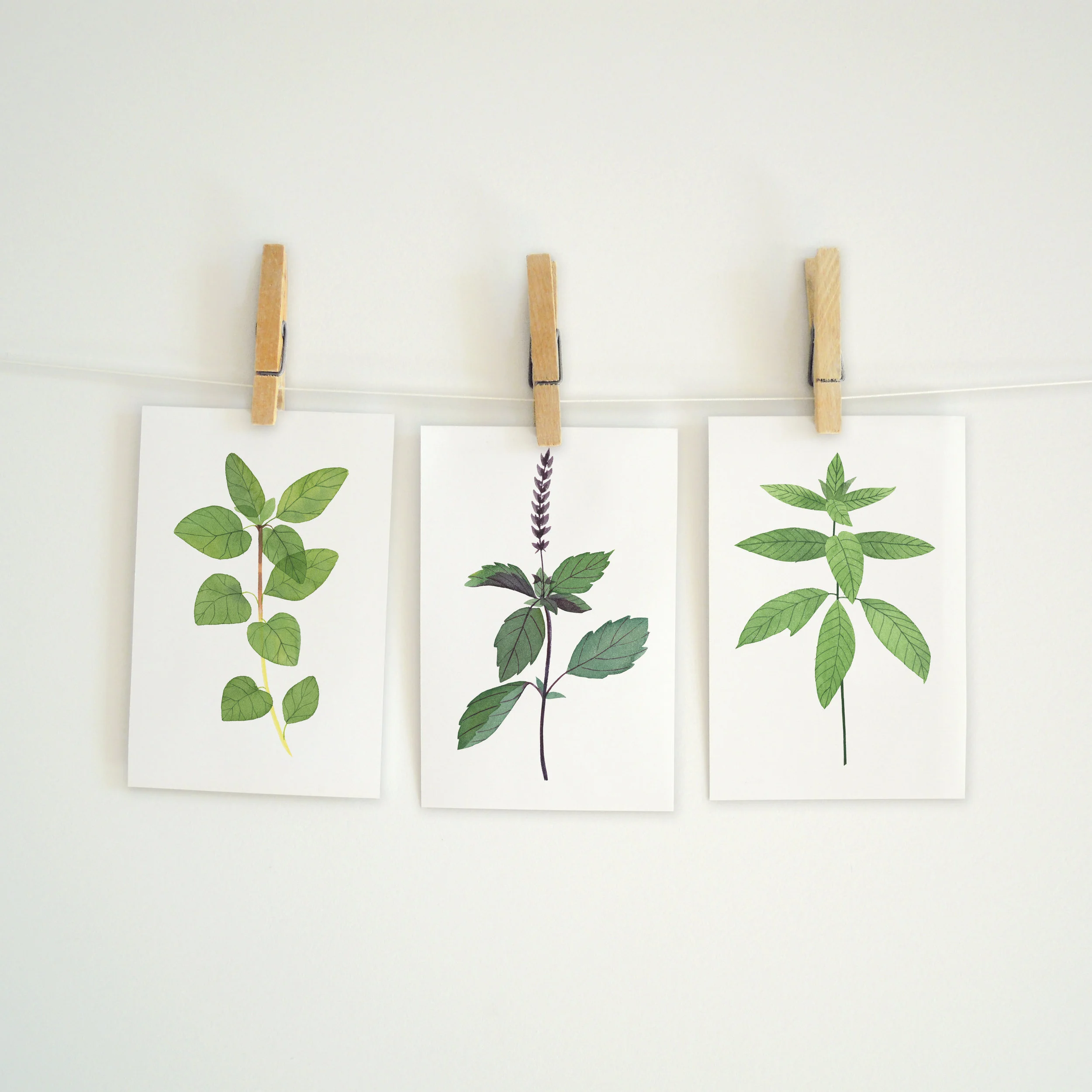 Mini Prints_Herbs2.jpg