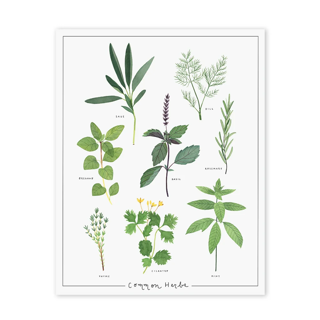 PS183_Herbs Web1.jpg