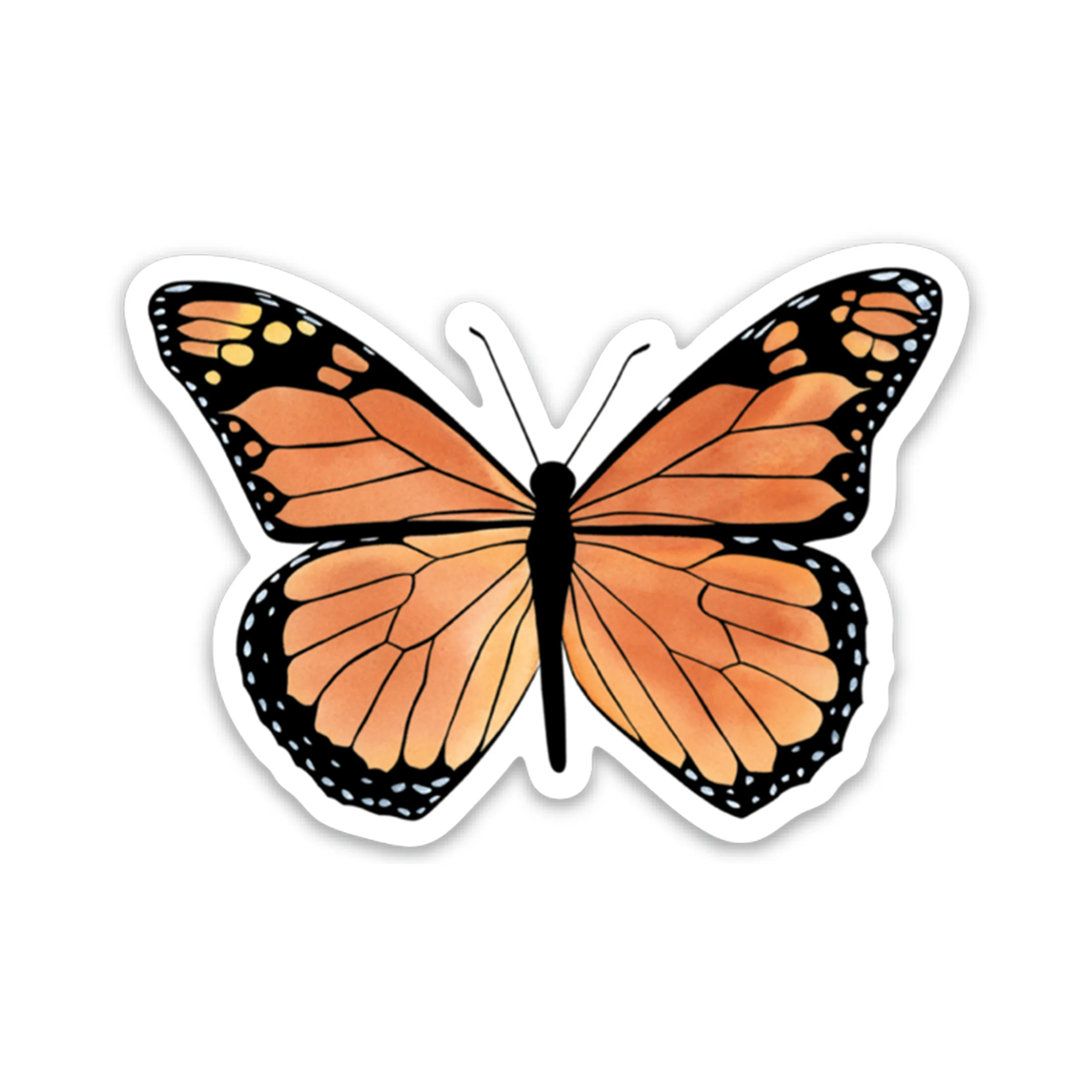 M181 Monarch Magnet_Web1.jpg