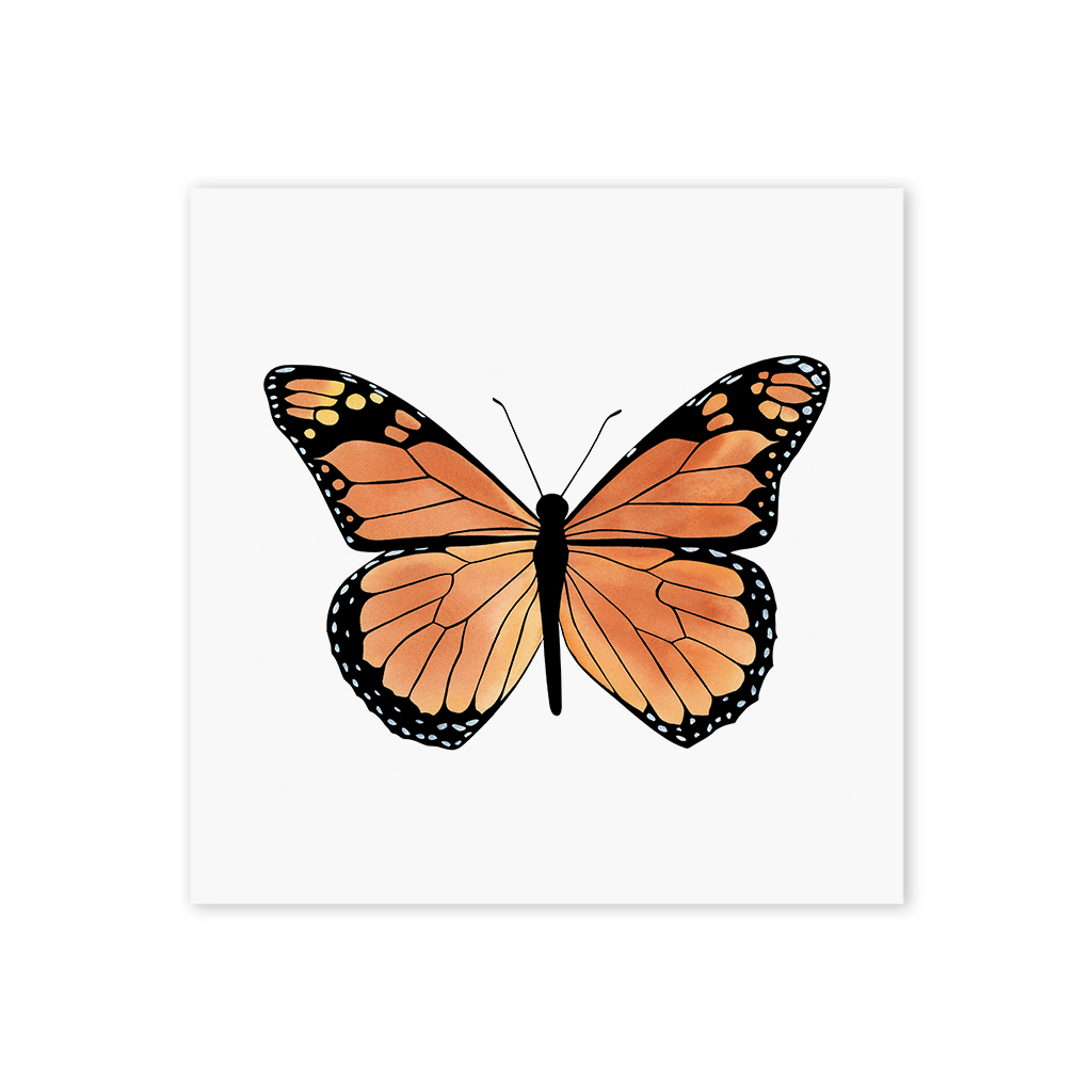 P1810 Monarch_Web1.jpg