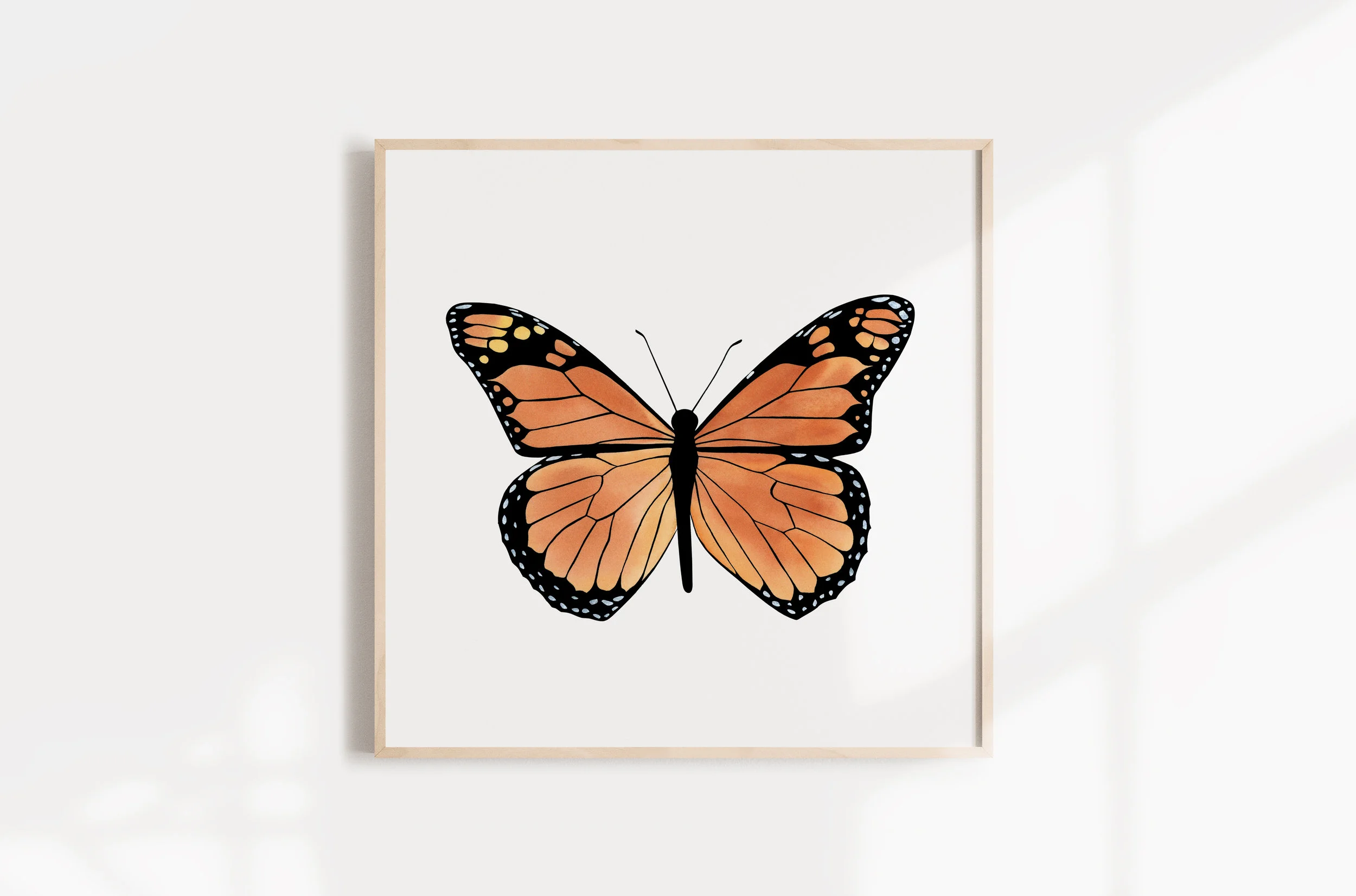 P1810 Monarch_Web3.jpg