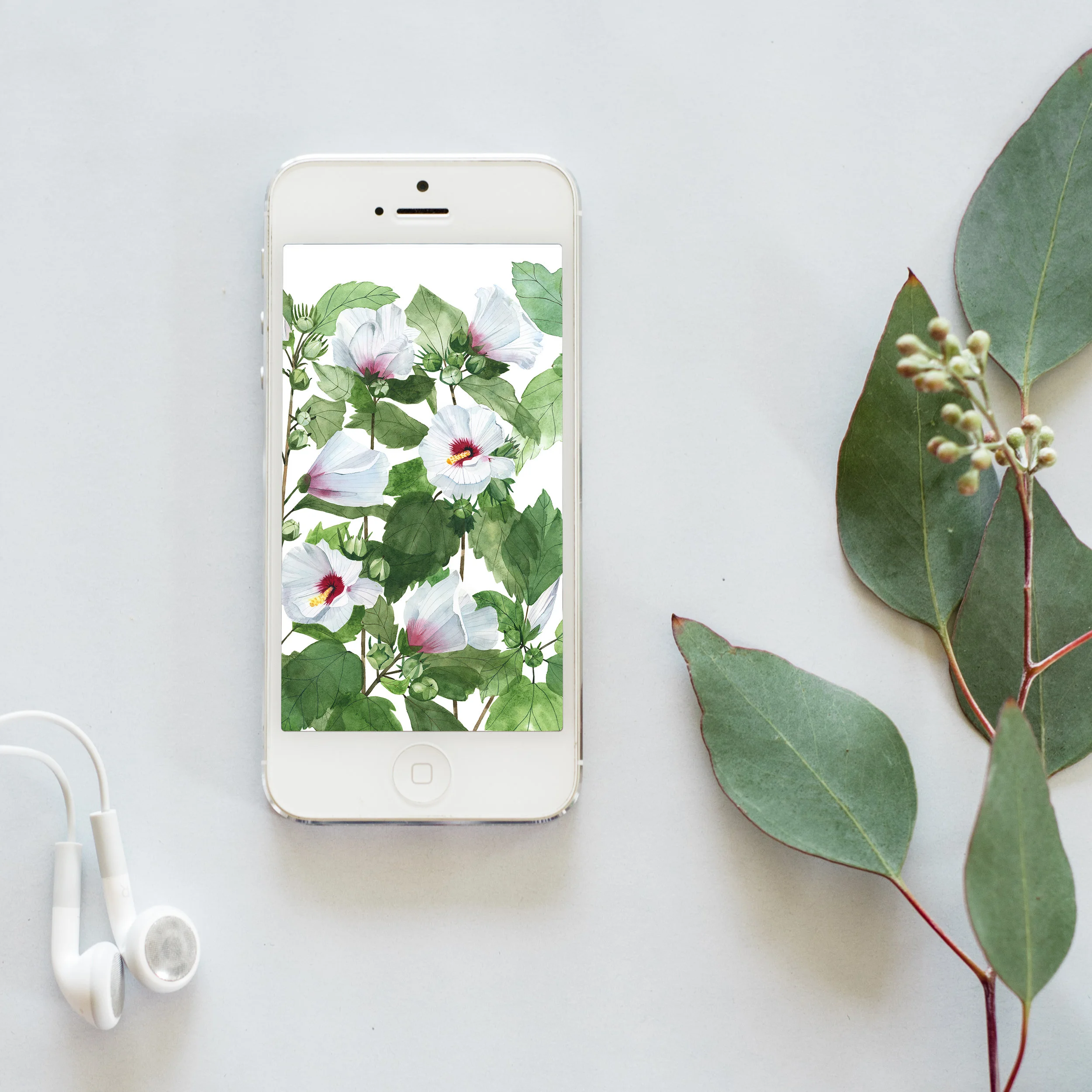 Rose of Sharon Lock Screen