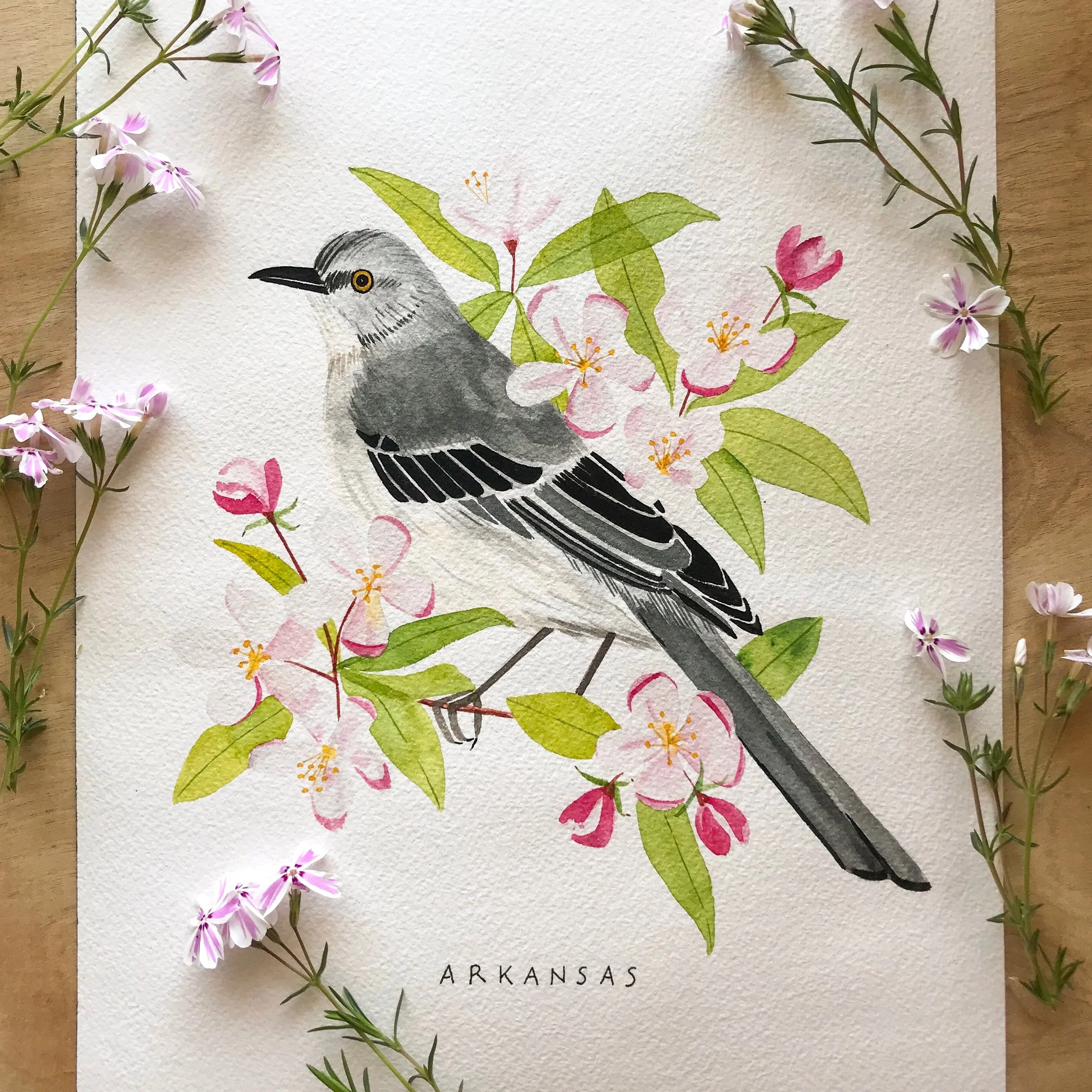 Arkansas State Bird and Flower Watercolor Painting