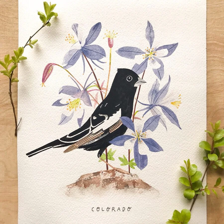 Colorado Lark Bunting Original