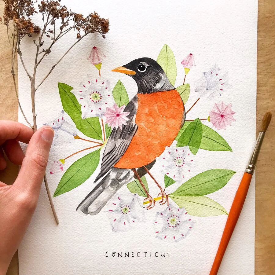 Connecticut State Bird and Flower Watercolor Painting
