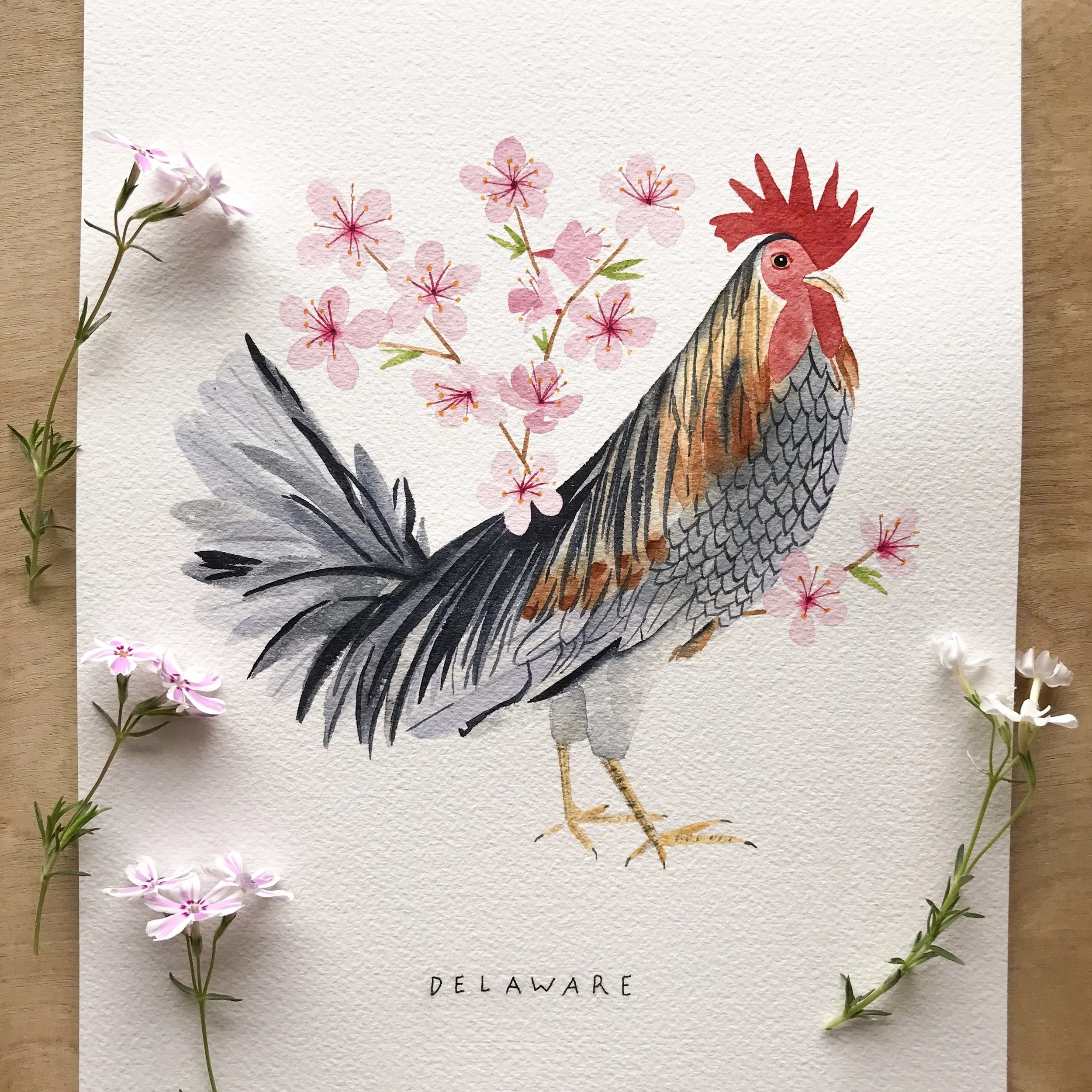 Delaware Blue Hen Chicken Original