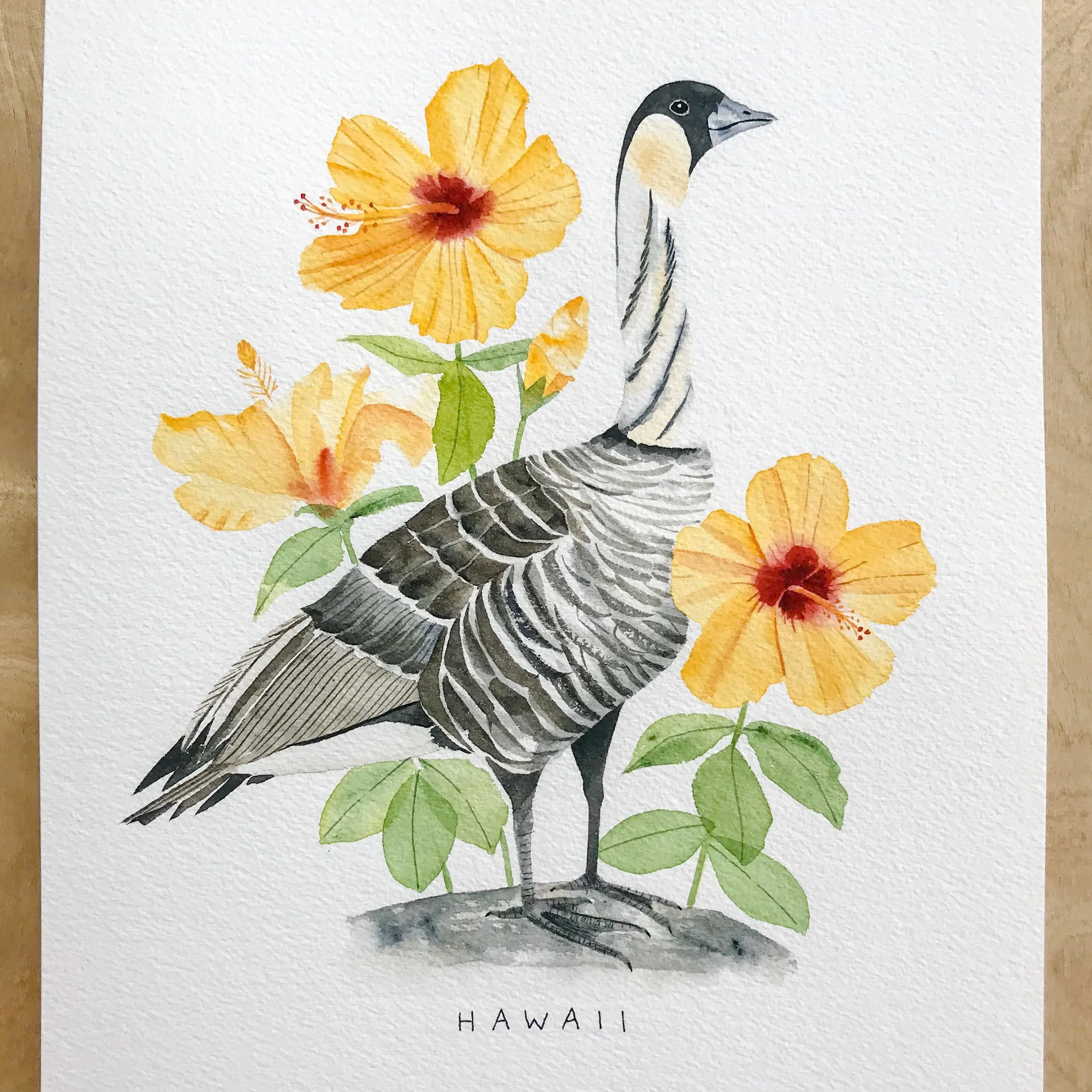 Hawaii State Bird and Flower Watercolor Painting
