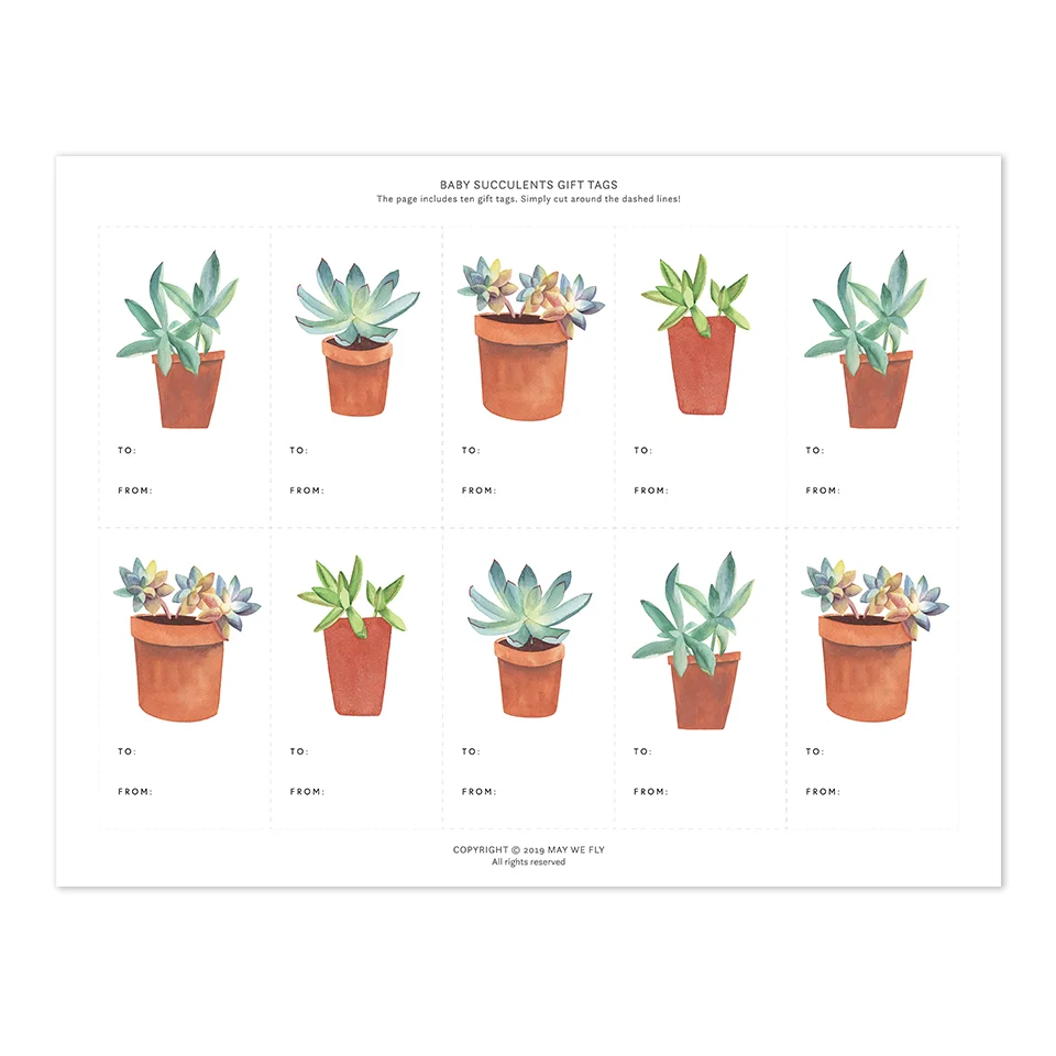 Web_Succulent_10.jpg