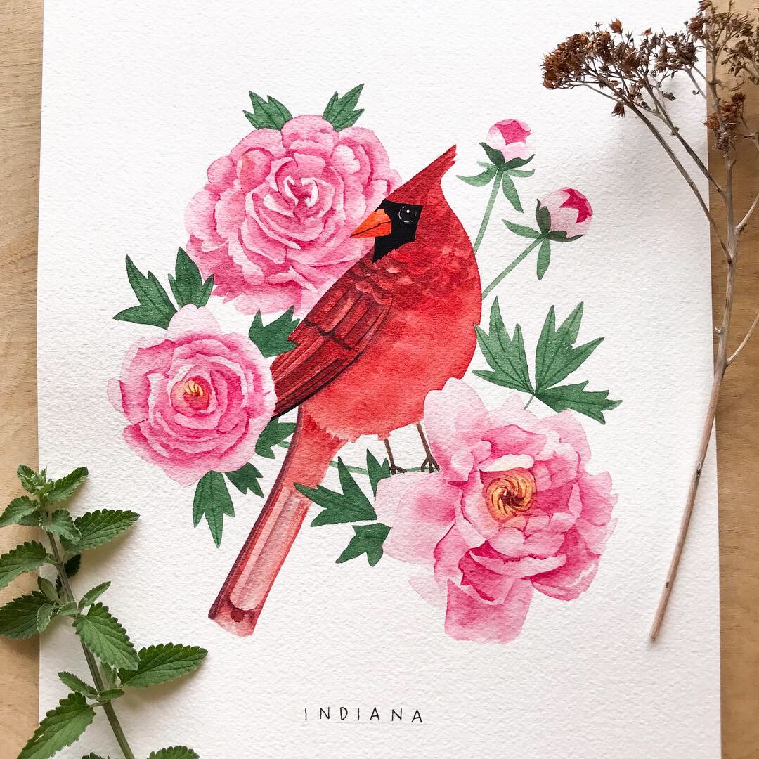 Indiana Cardinal Original