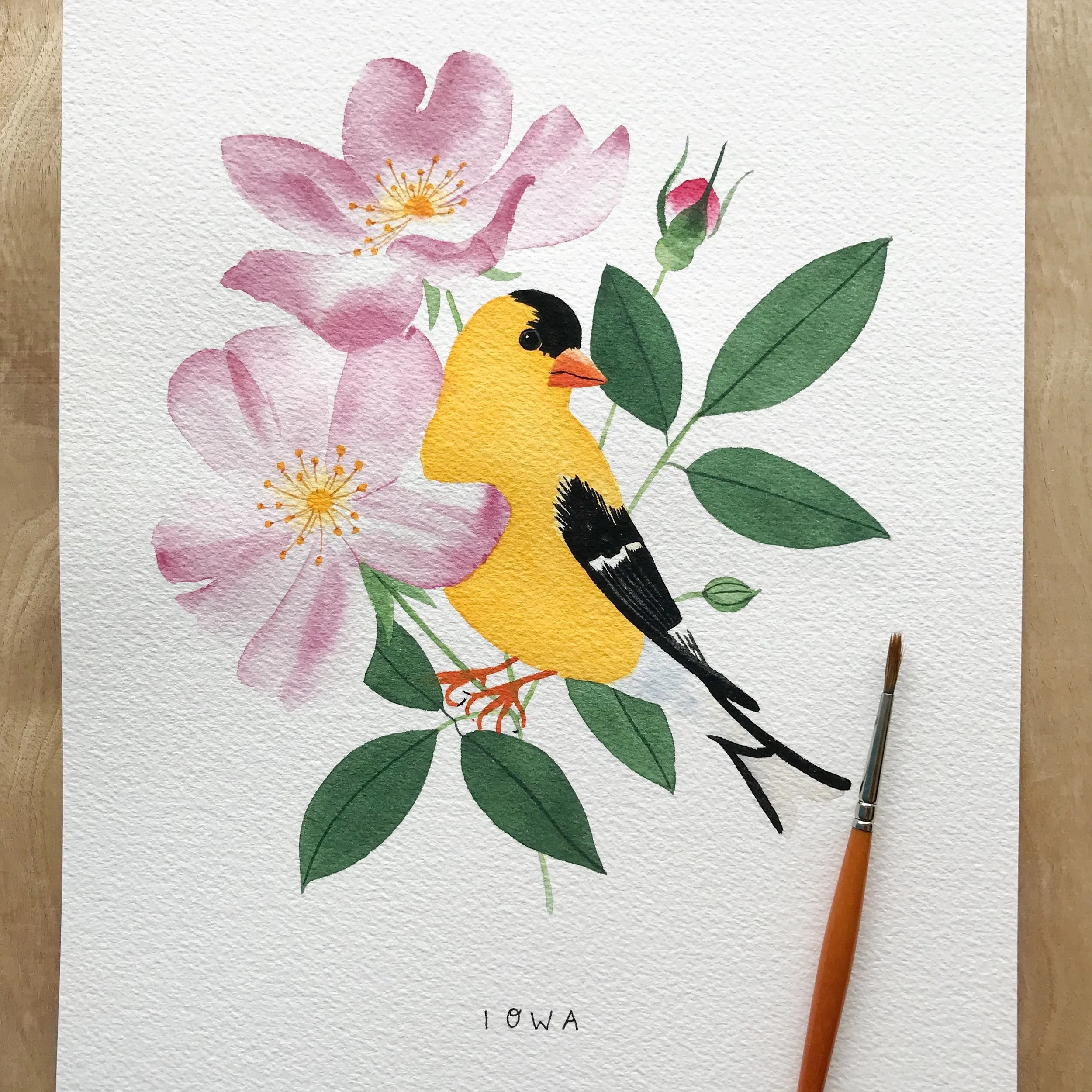Iowa Goldfinch Original