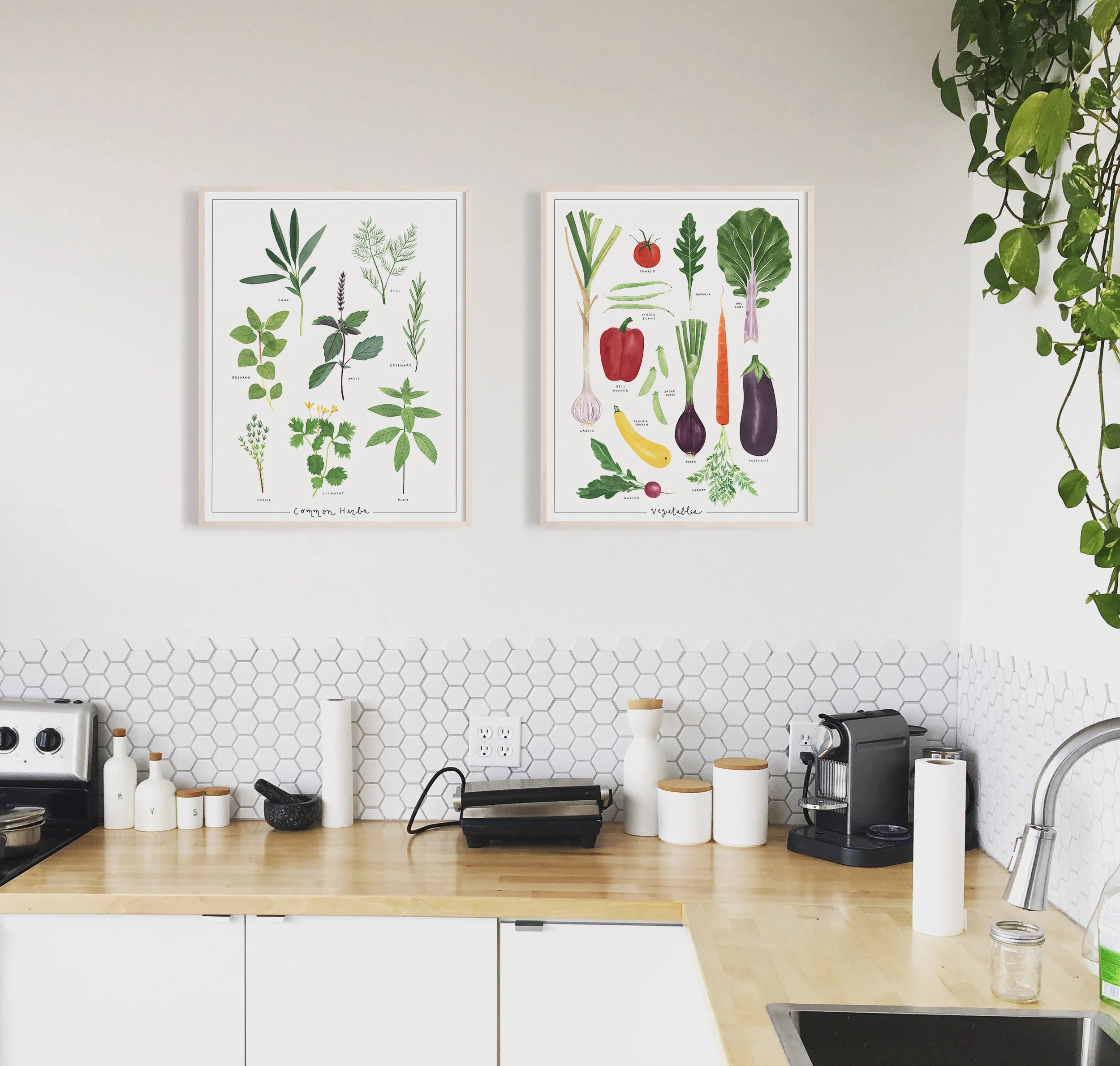 Herbs-Veggies_Web.jpg