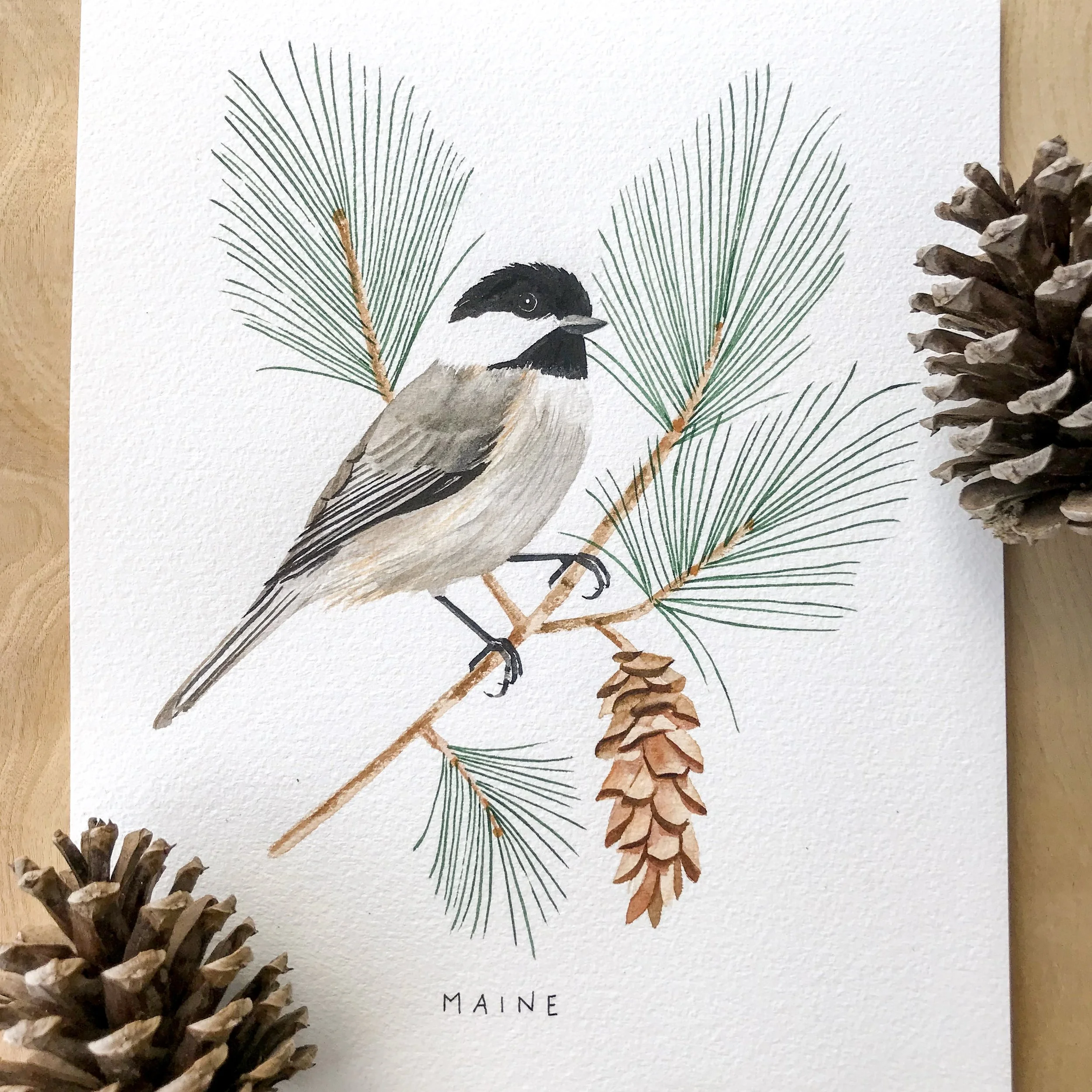 Maine Chickadee Original Watercolor Painting