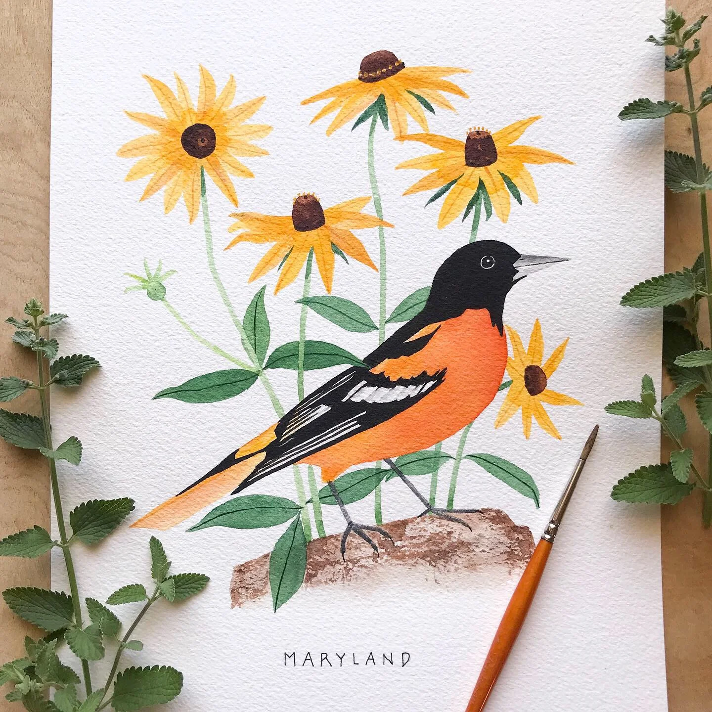 Maryland Oriole Original Watercolor Painting
