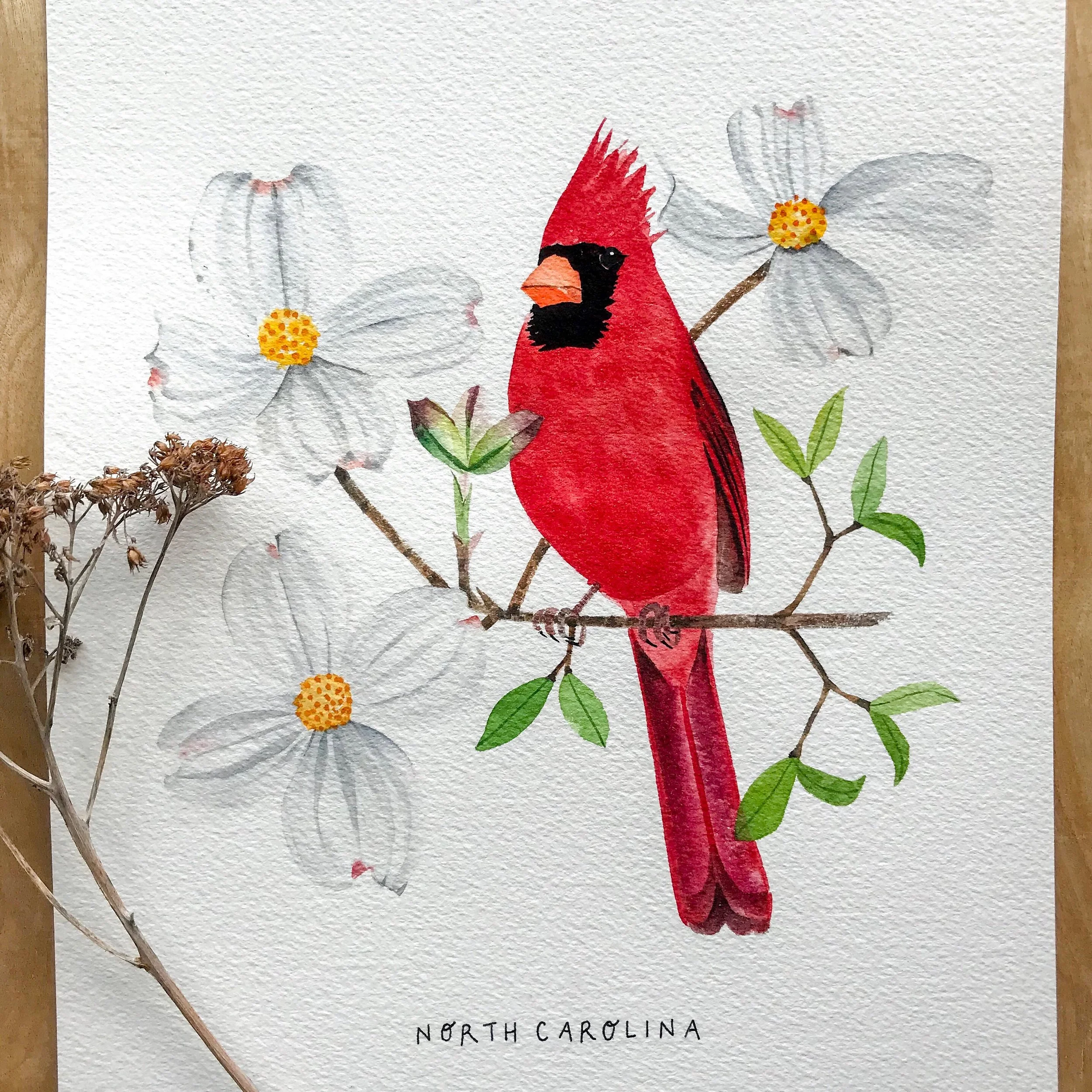 North Carolina Cardinal Original