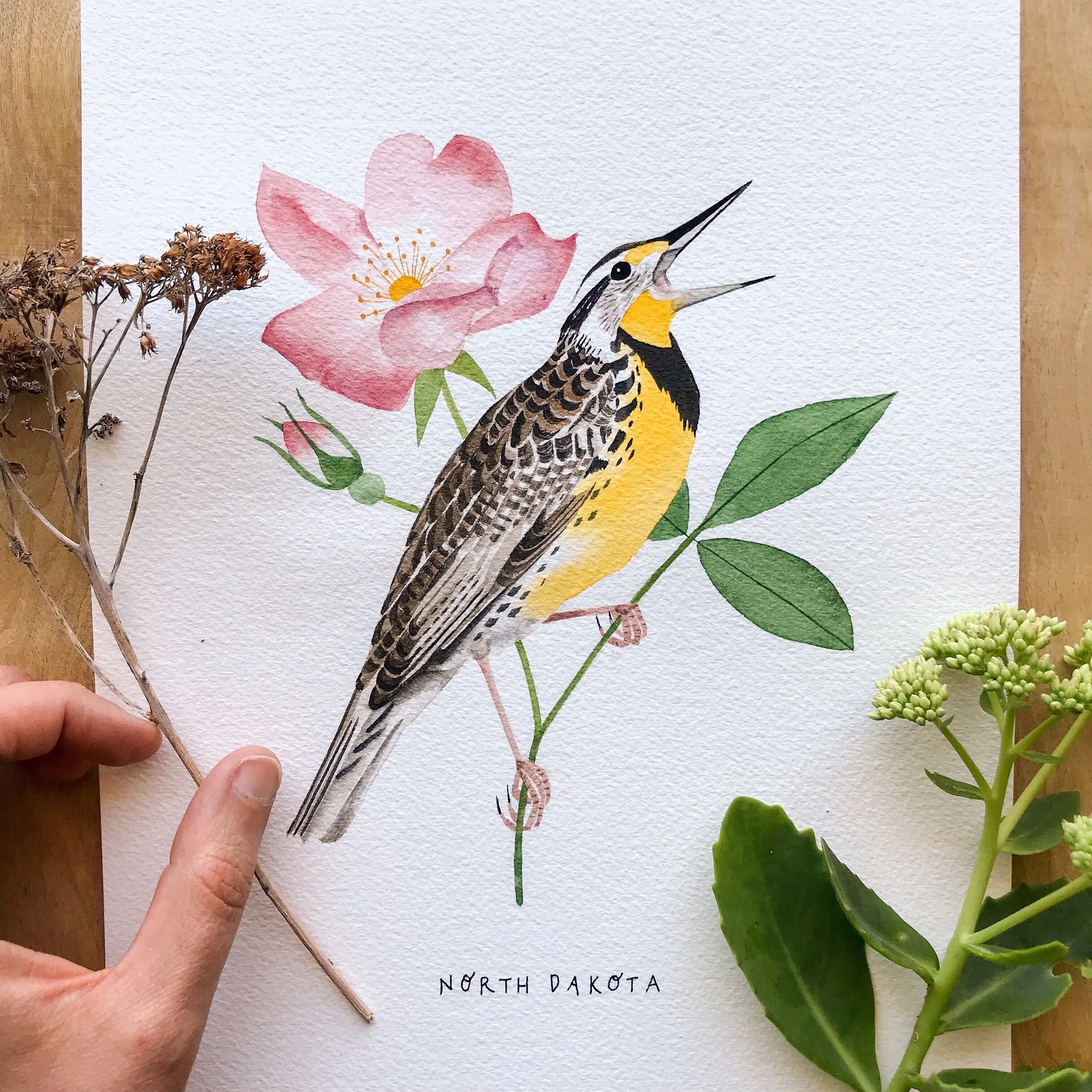 North Dakota Western Meadowlark Original