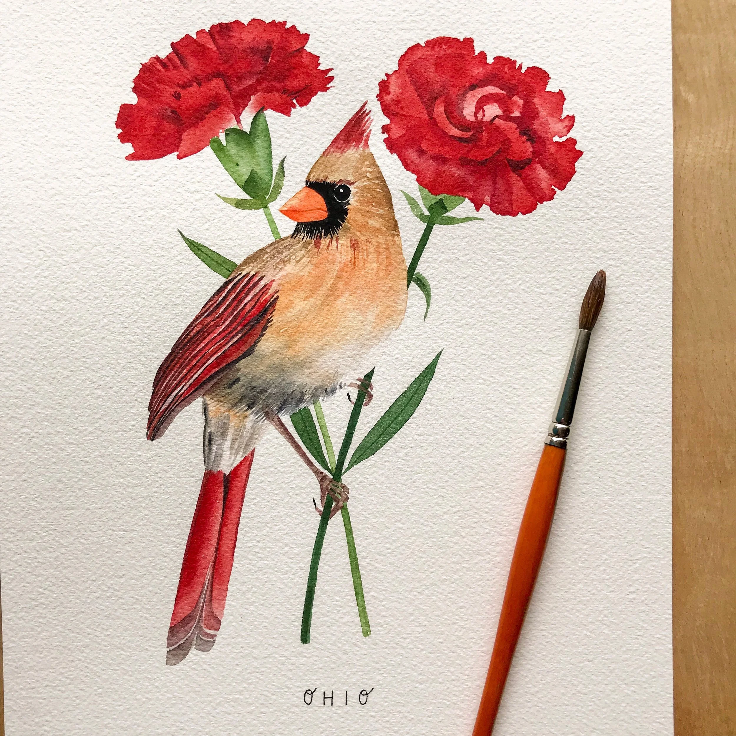 Ohio Cardinal Original